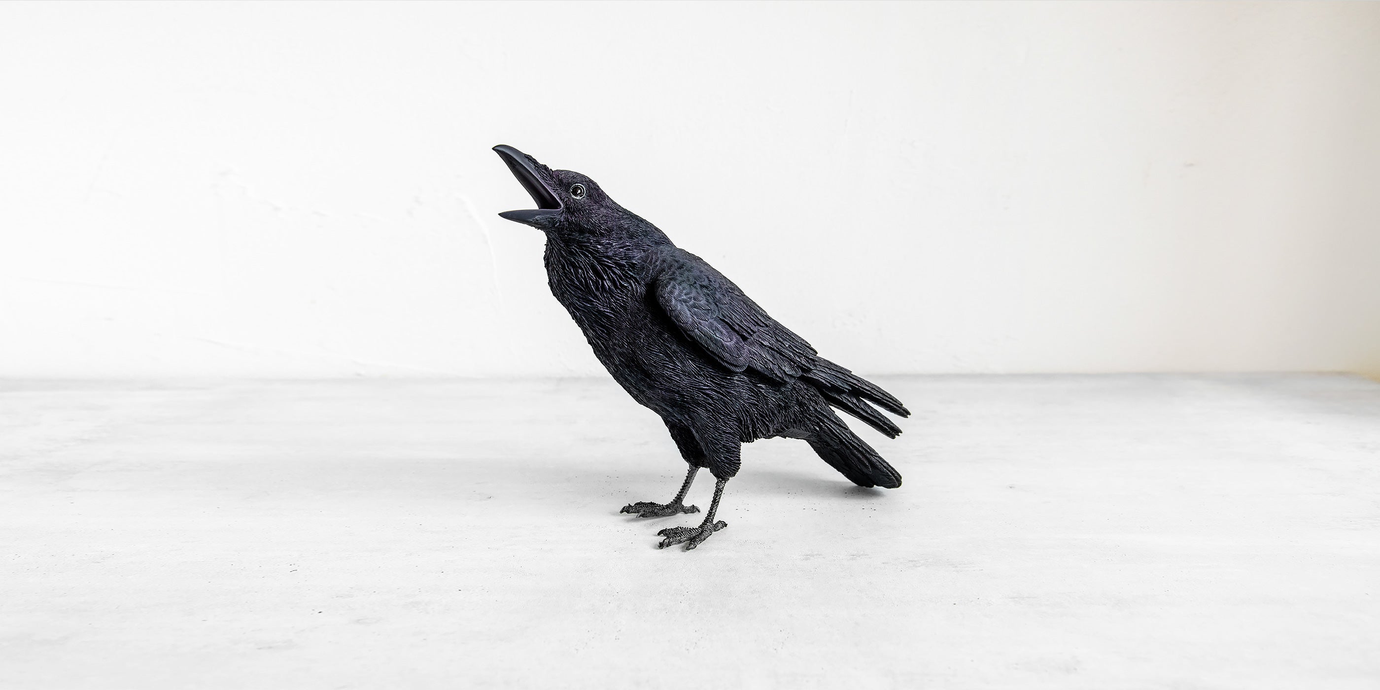 RECOMMEND ANIMALS – ニコノマニマニ雑貨店オンラインストア