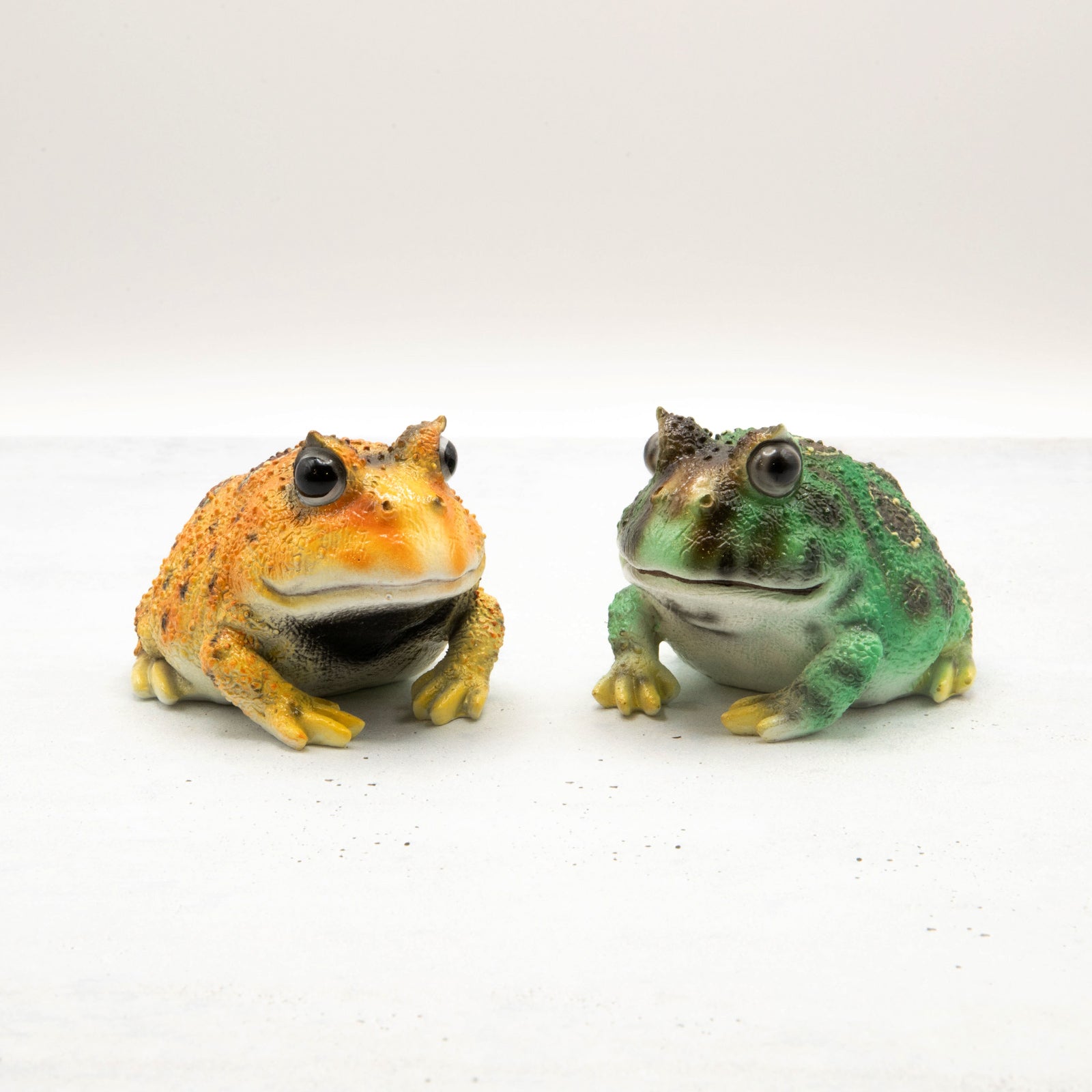 magnet / マグネット マグネット ツノガエル – ニコノマニマニ雑貨店