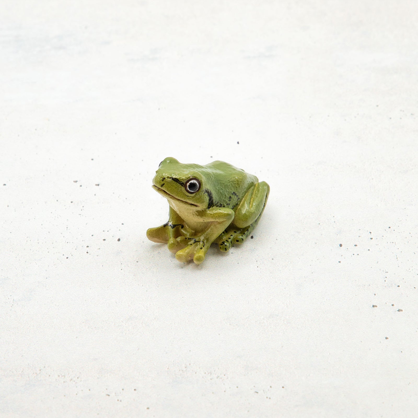magnet / マグネット マグネット アマガエル（緑） – ニコノマニマニ