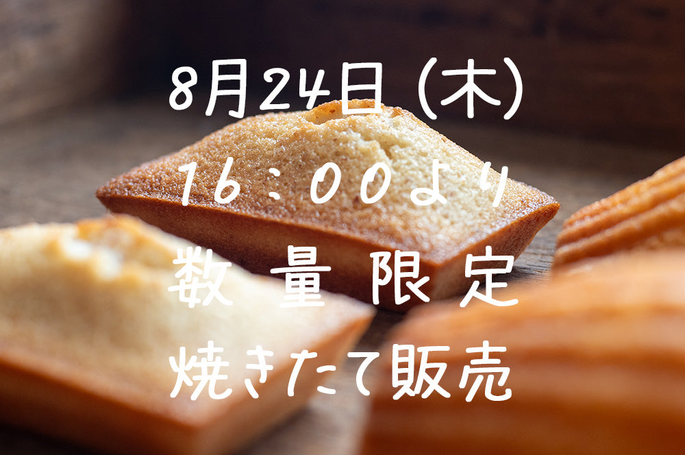 五月の魚 焼きたてフィナンシェ＆マドレーヌ