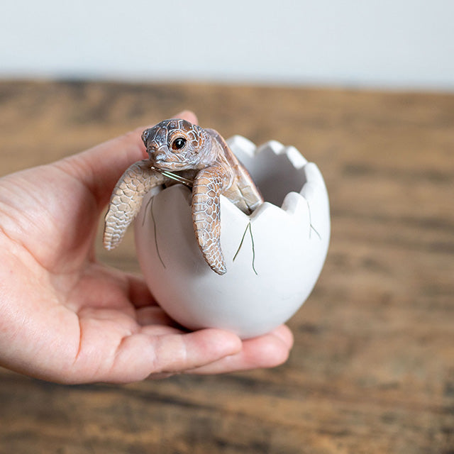 産まれたての小物入れ