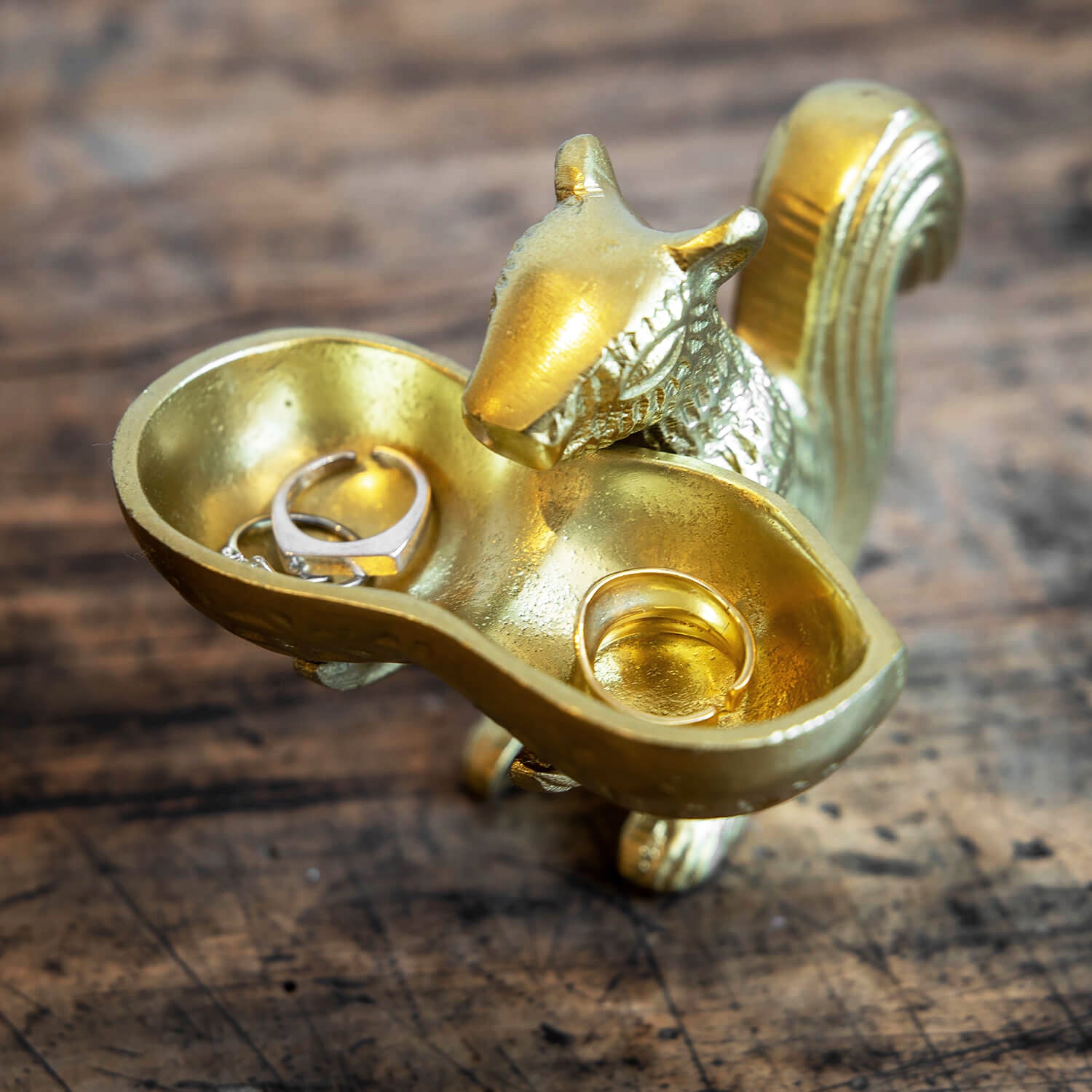 DETAIL/ディテール　スクウォーレル&ナッツ