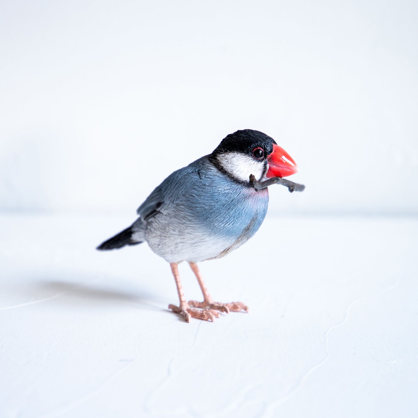 magnet / マグネット　マグネット 桜文鳥