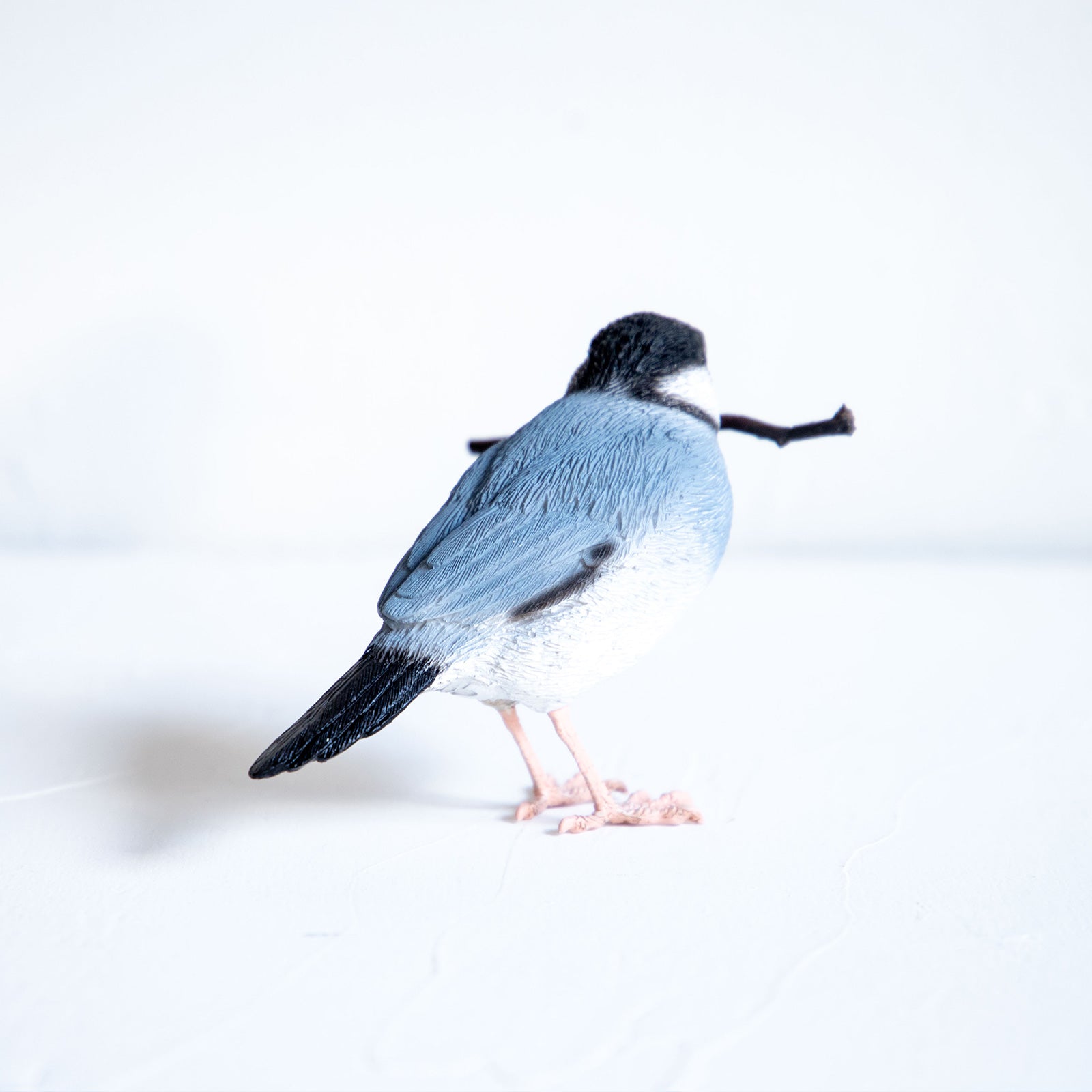 magnet / マグネット　マグネット 桜文鳥