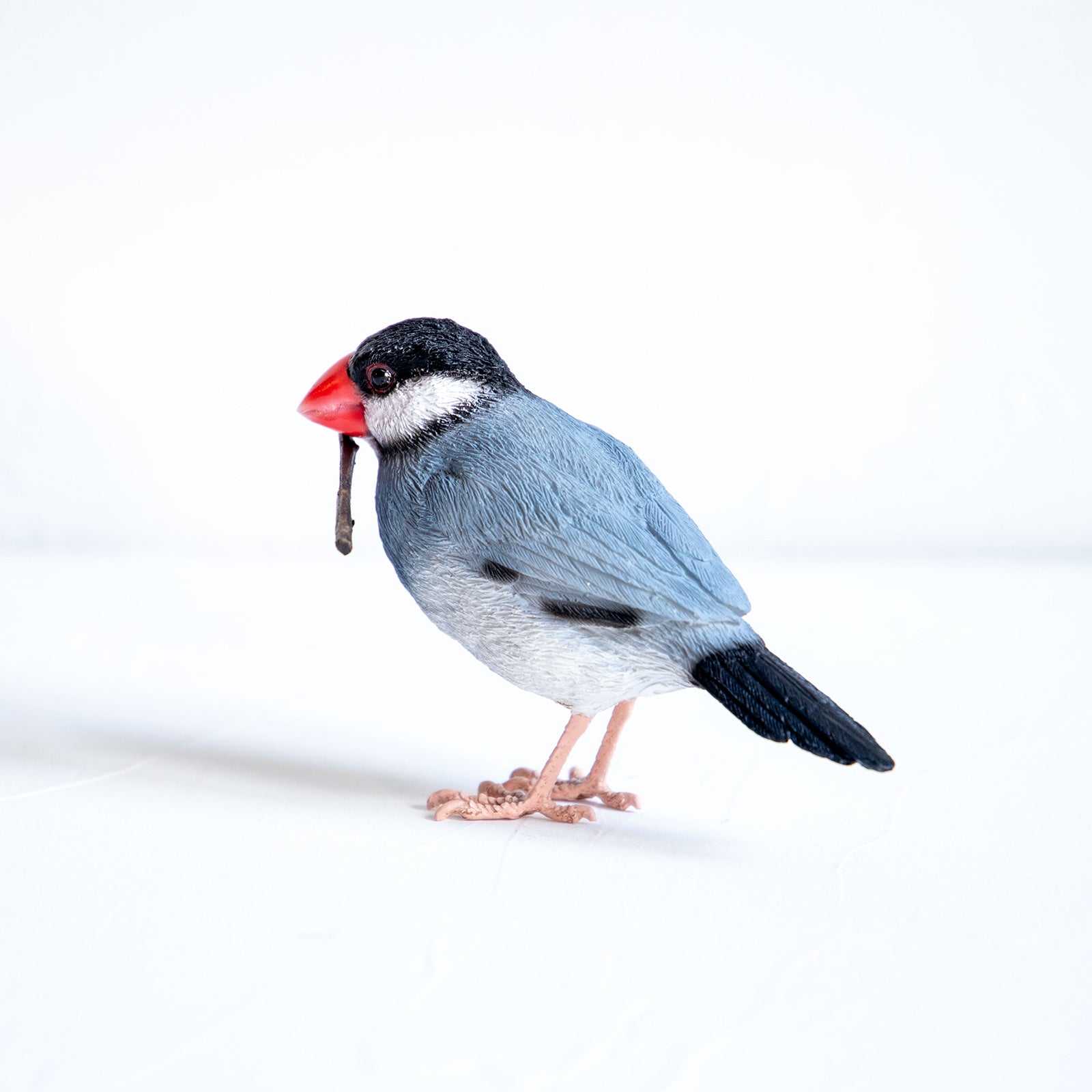 magnet / マグネット マグネット 桜文鳥 – ニコノマニマニ雑貨店