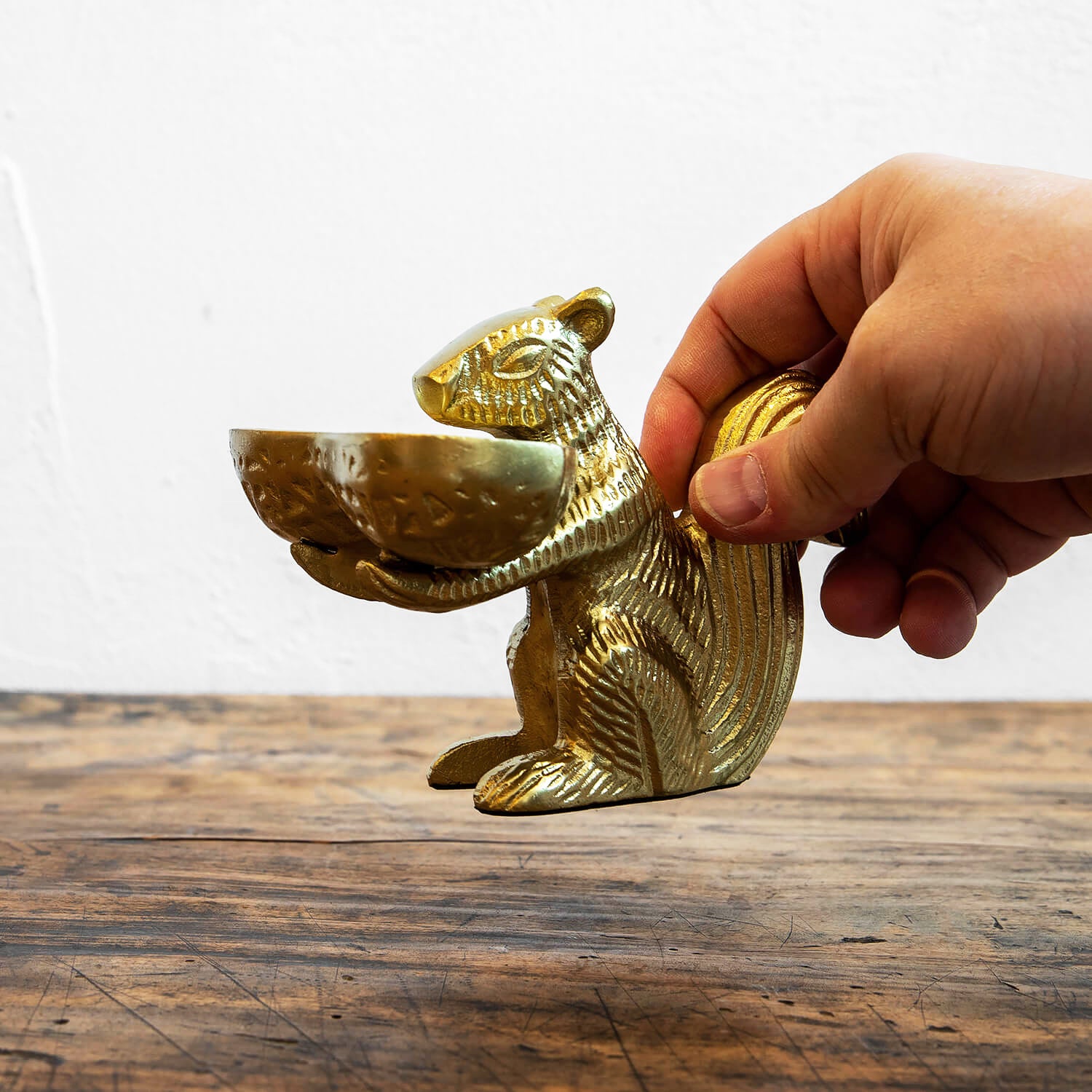 DETAIL/ディテール　スクウォーレル&ナッツ