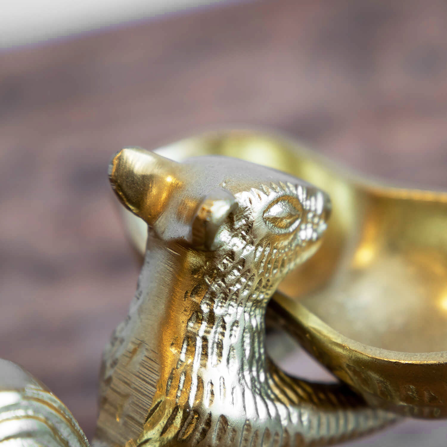 DETAIL/ディテール　スクウォーレル&ナッツ