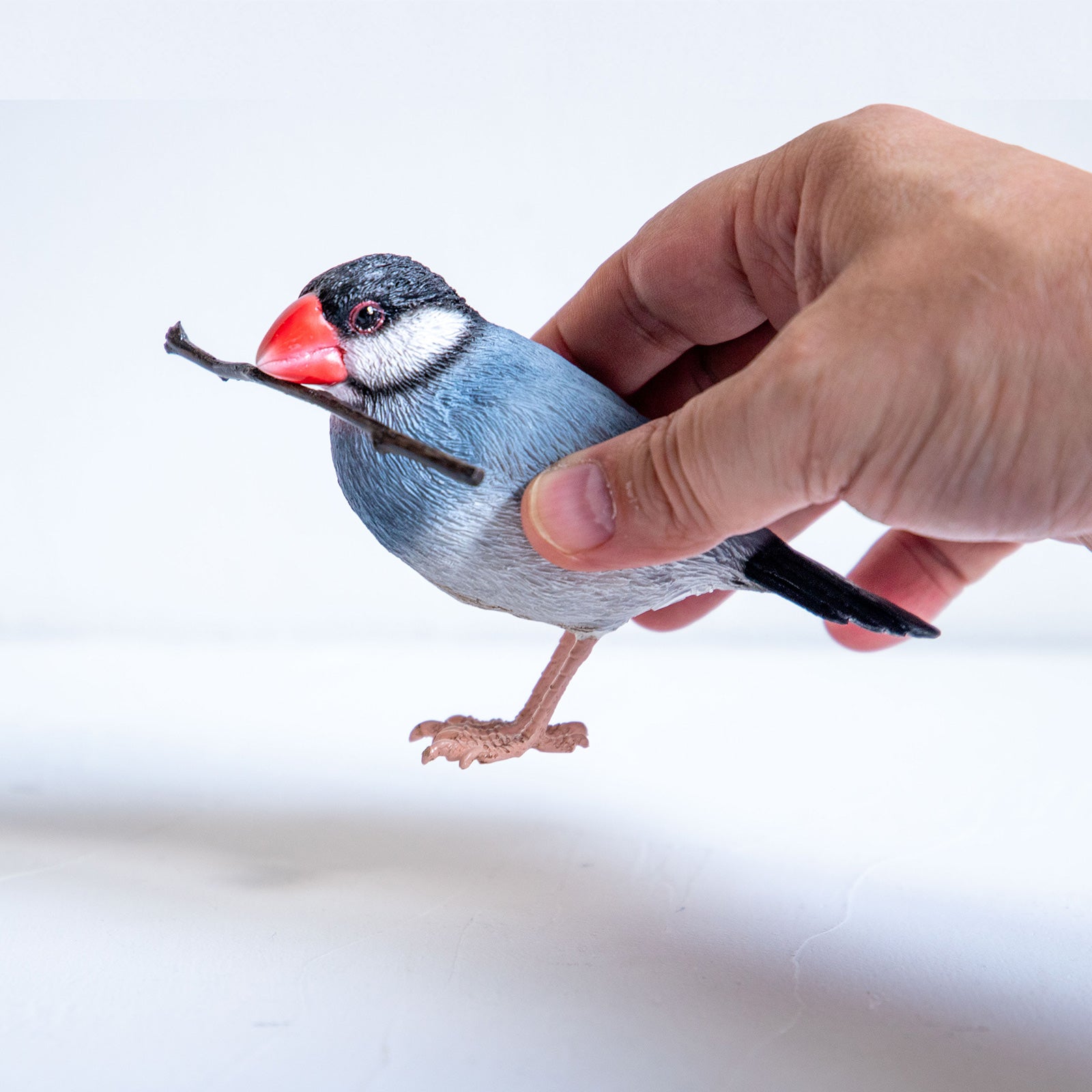 magnet / マグネット　マグネット 桜文鳥