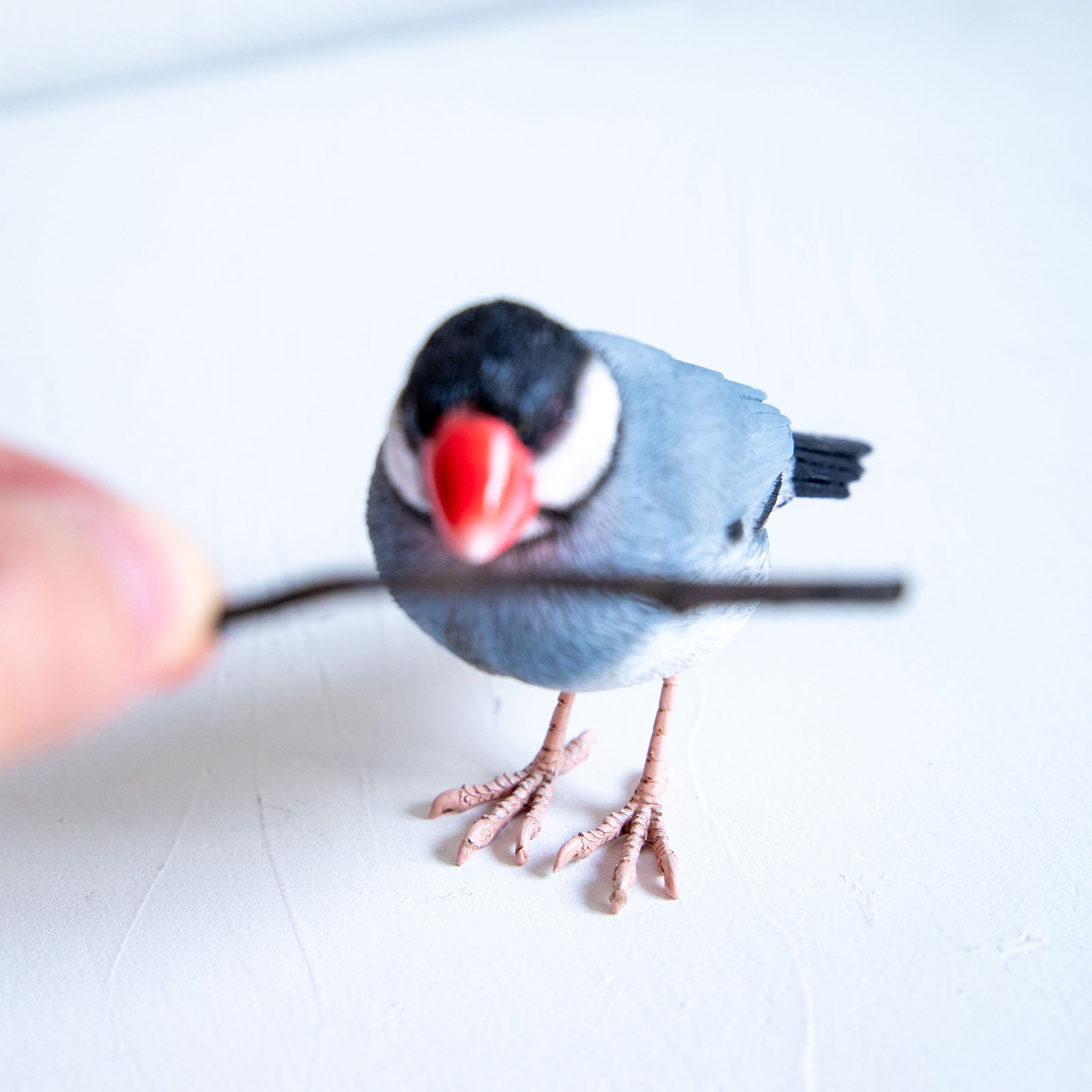 magnet / マグネット　マグネット 桜文鳥