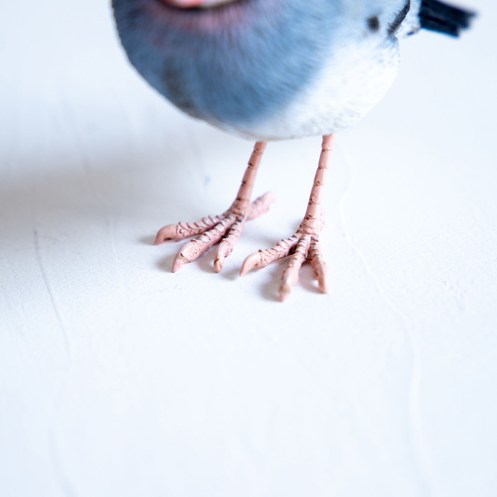 magnet / マグネット　マグネット 桜文鳥