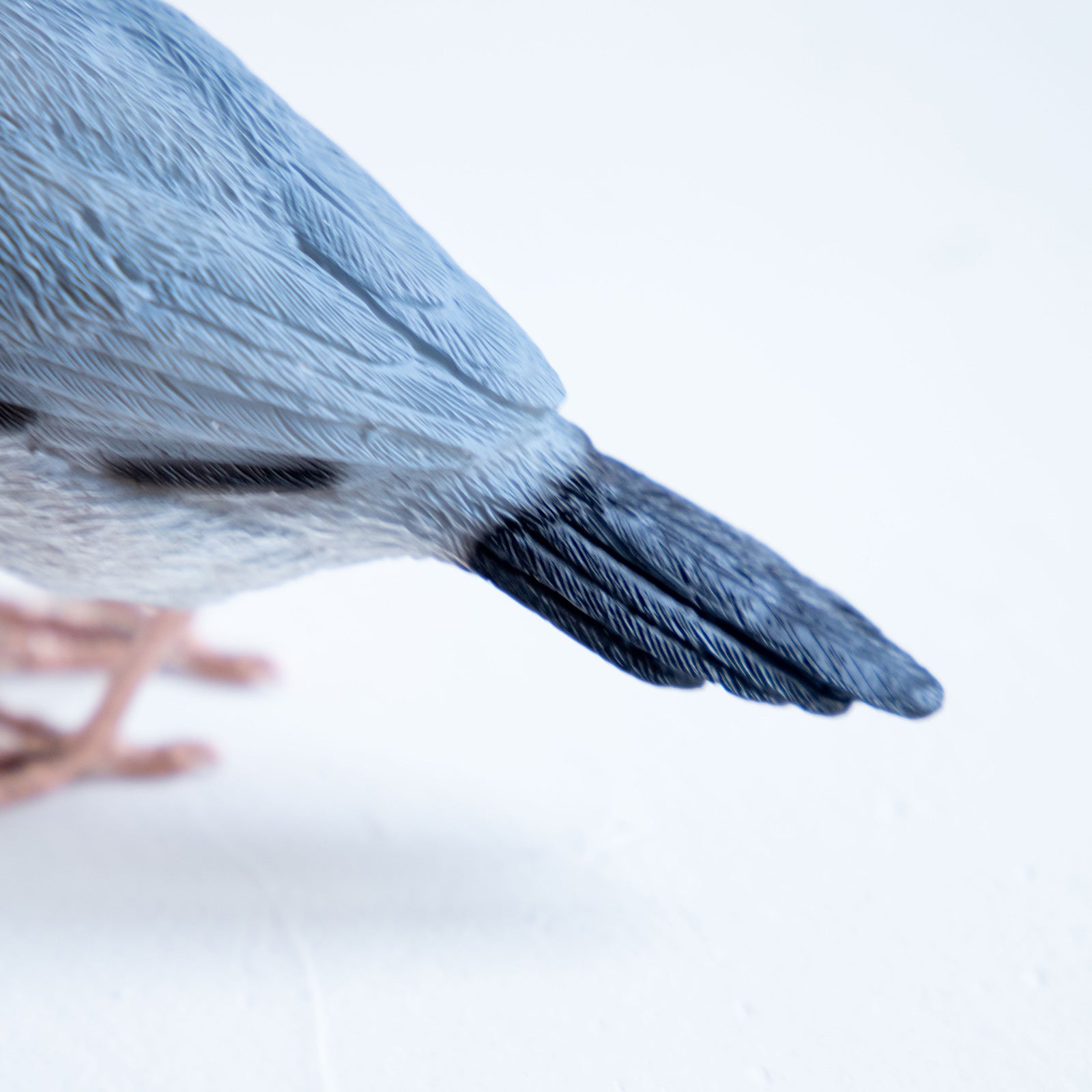 magnet / マグネット　マグネット 桜文鳥