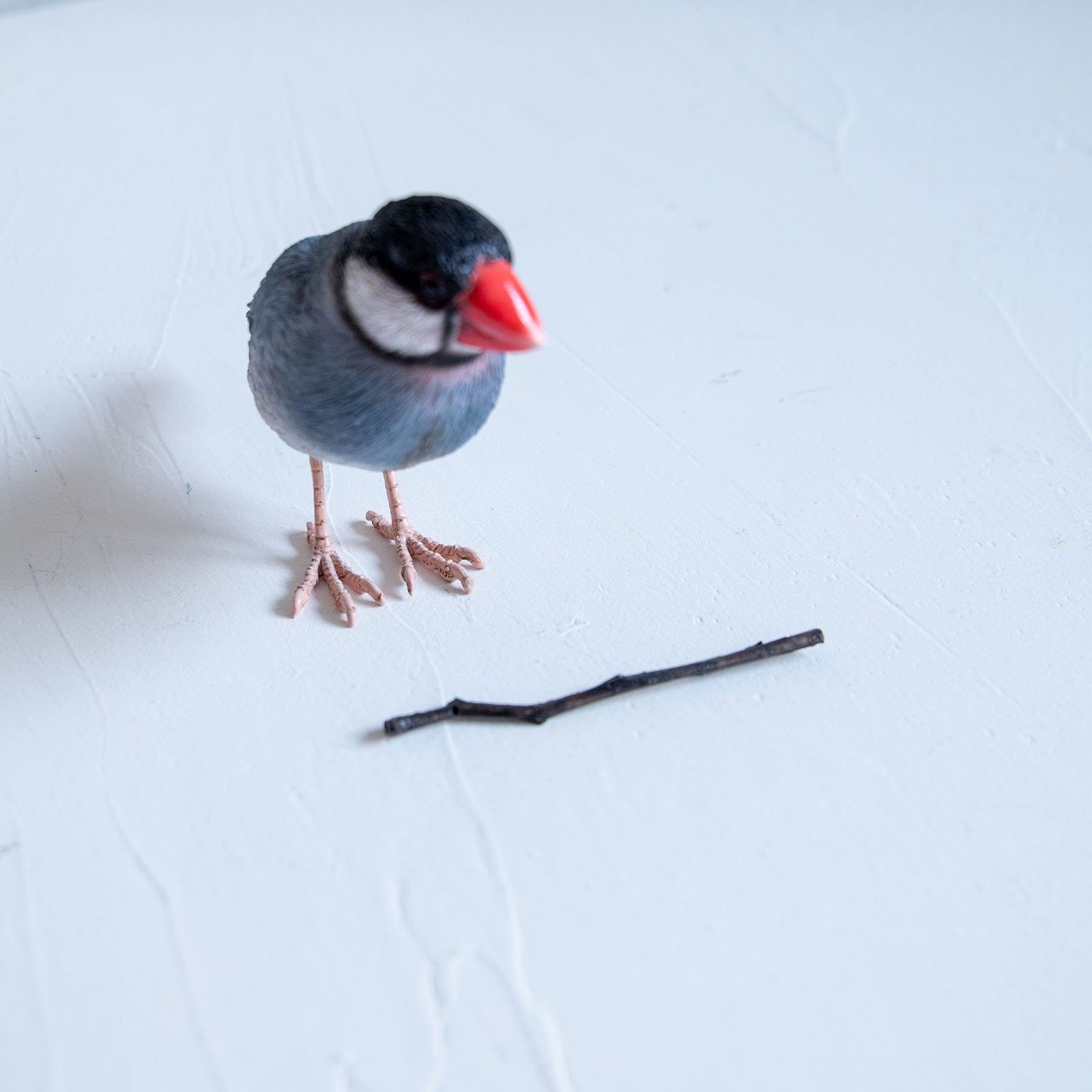 magnet / マグネット　マグネット 桜文鳥