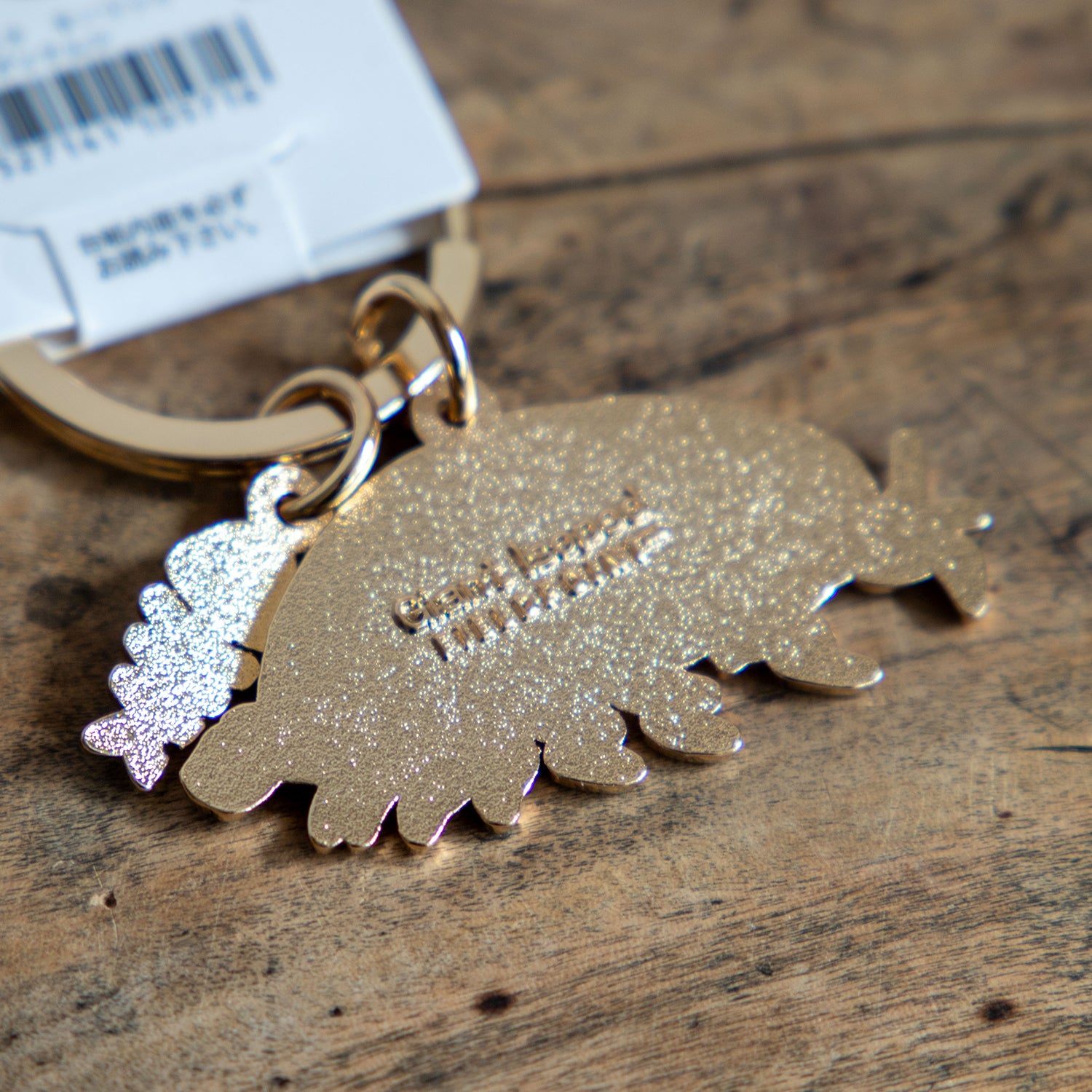 キーホルダー アクアチックキーリング ダイオウグソクムシ