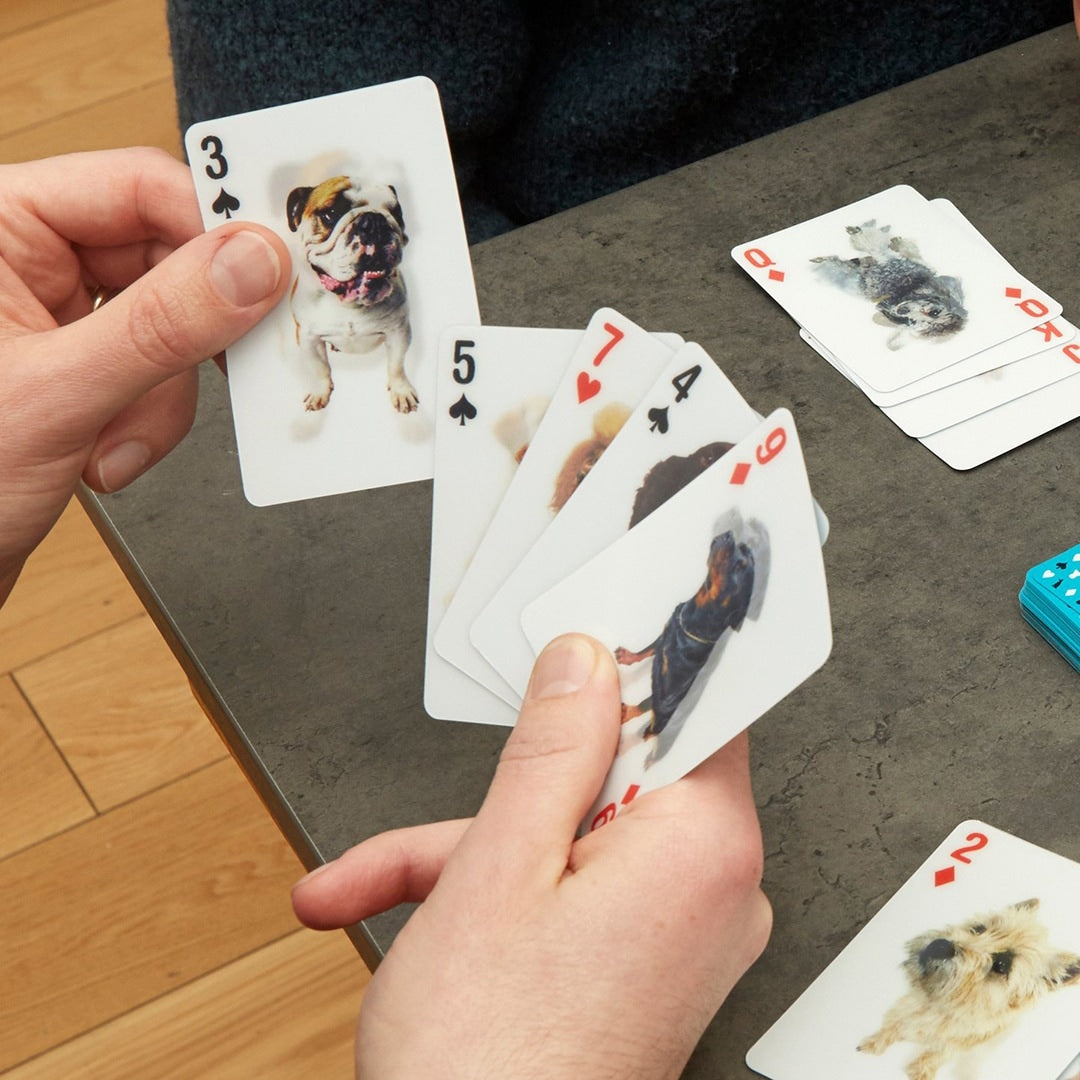 KIKKERLAND / キッカーランド　3D Dog Cards
