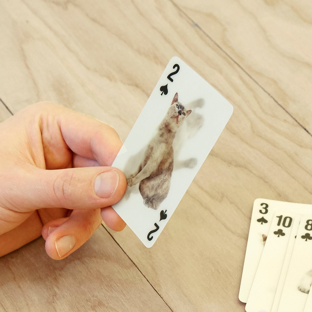KIKKERLAND / キッカーランド　 3D Cat Cards