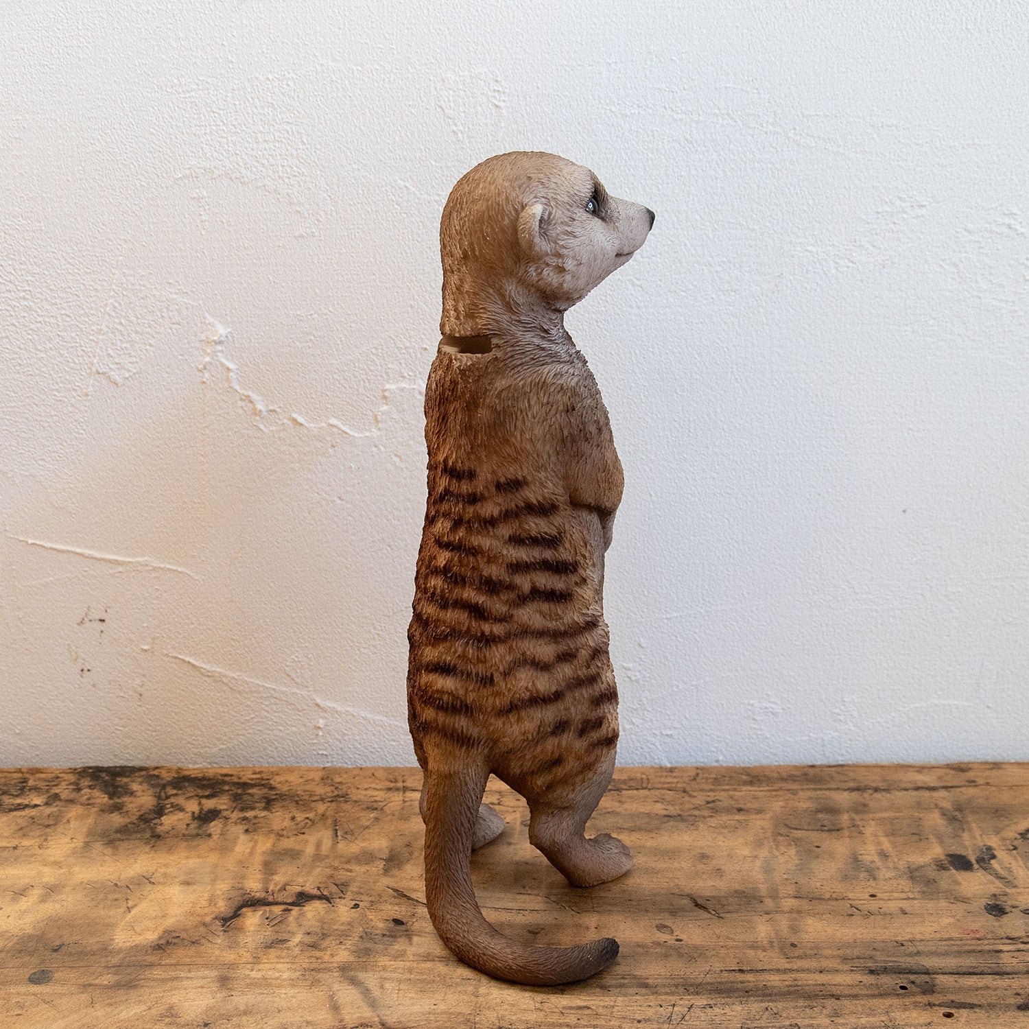 magnet / マグネット 貯金箱 ミーアキャット – ニコノマニマニ雑貨店