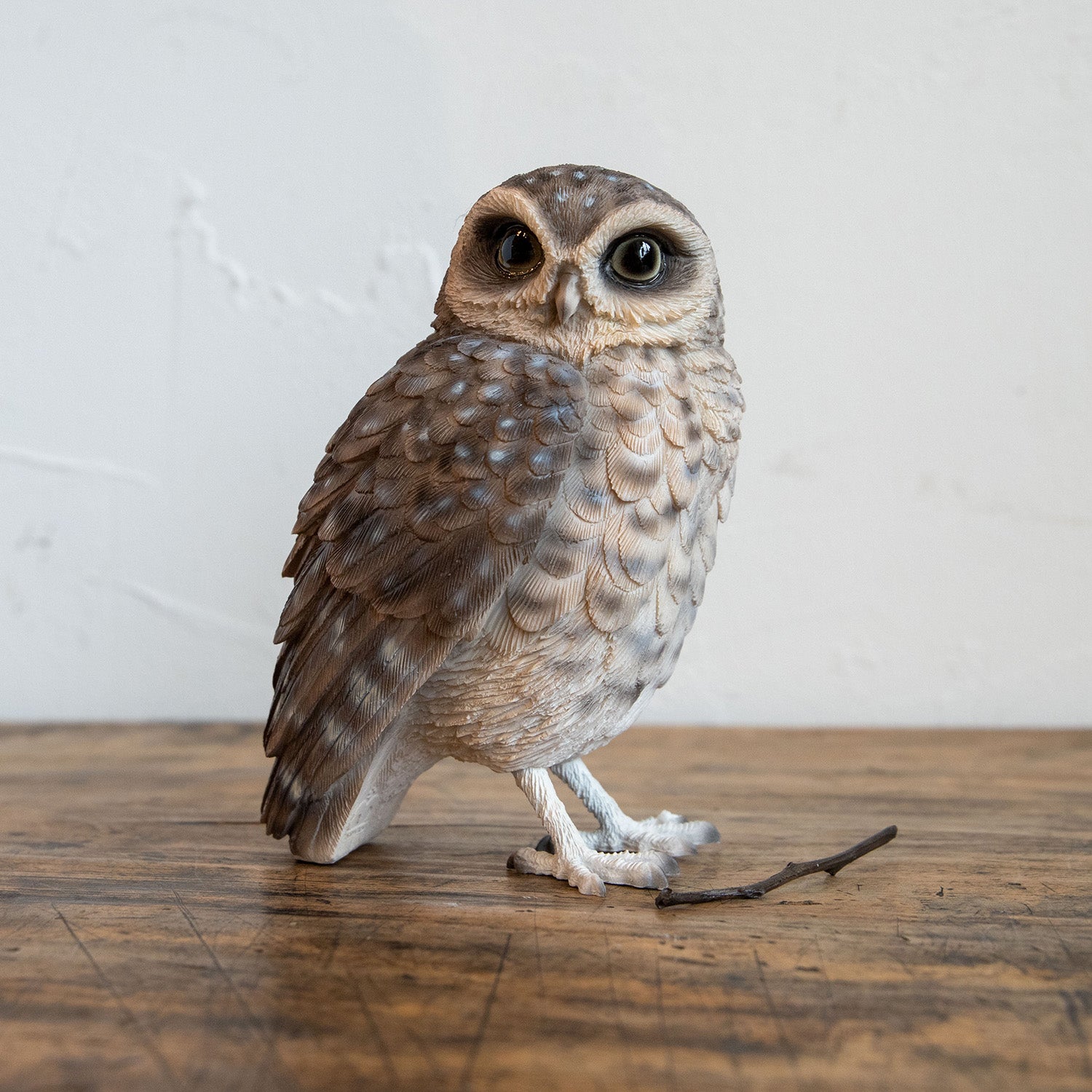 magnet / マグネット マグネット アナホリフクロウ – ニコノマニマニ