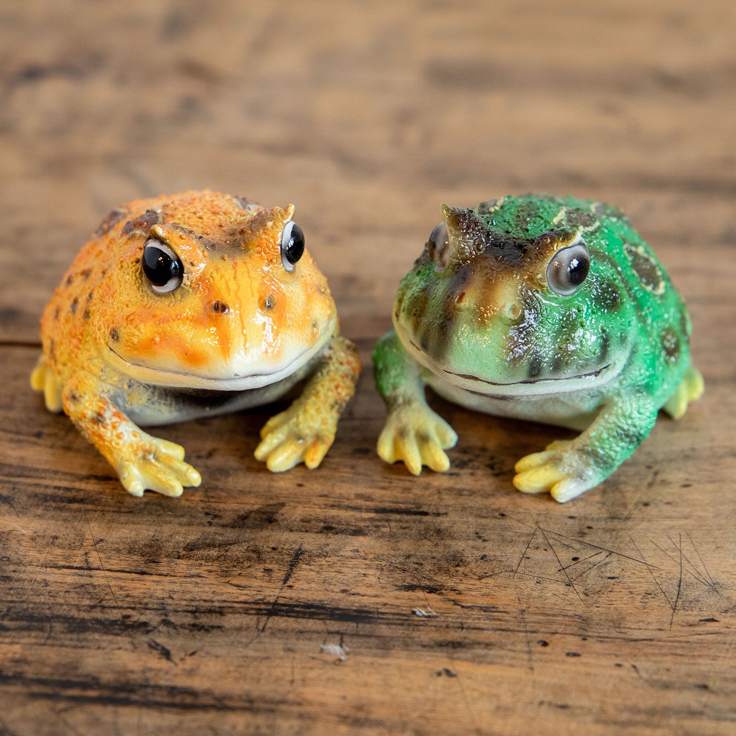 magnet / マグネット マグネット ツノガエル – ニコノマニマニ雑貨店