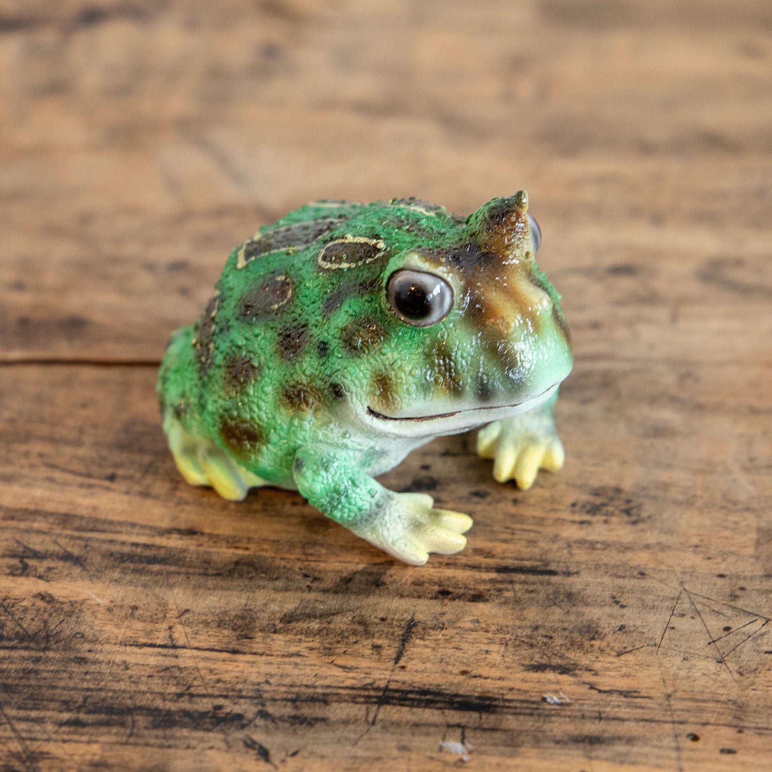 magnet / マグネット マグネット ツノガエル – ニコノマニマニ雑貨店