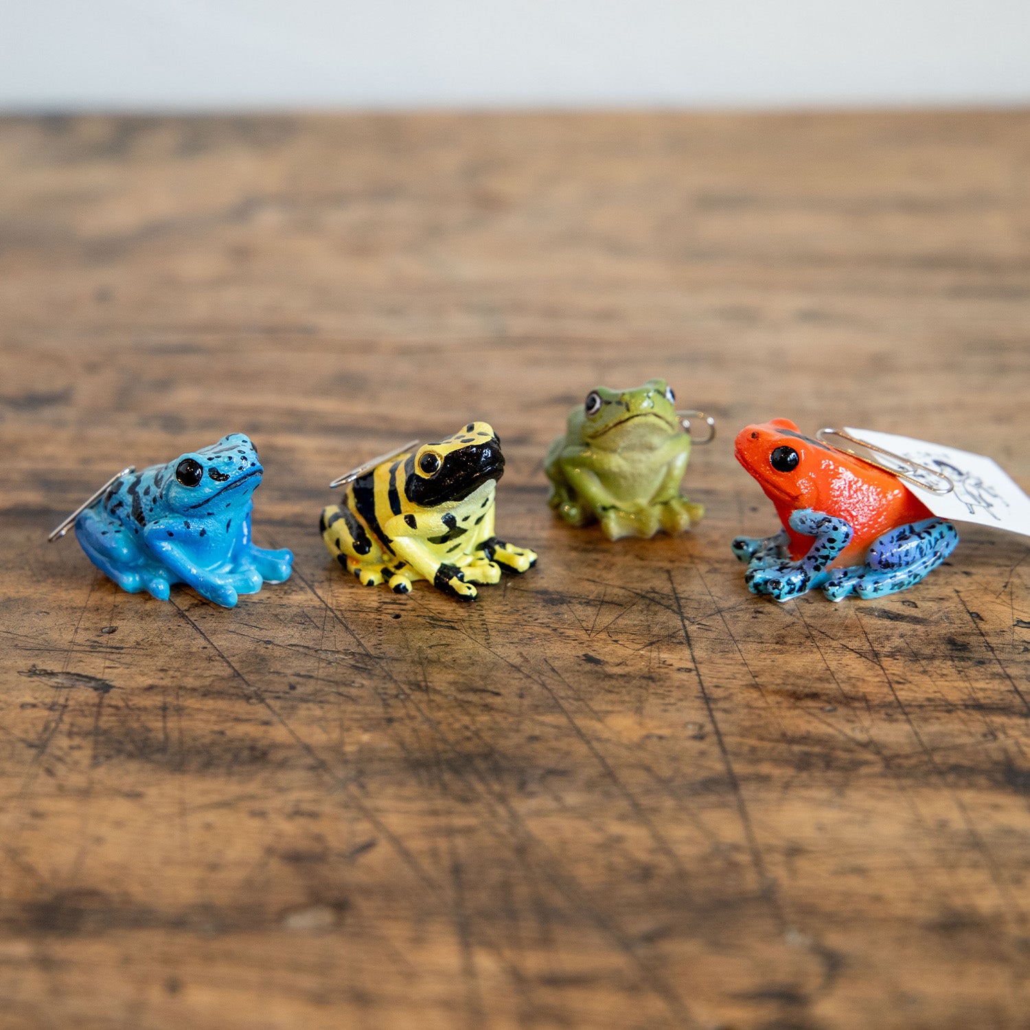 magnet / マグネット マグネット アマガエル（緑） – ニコノマニマニ