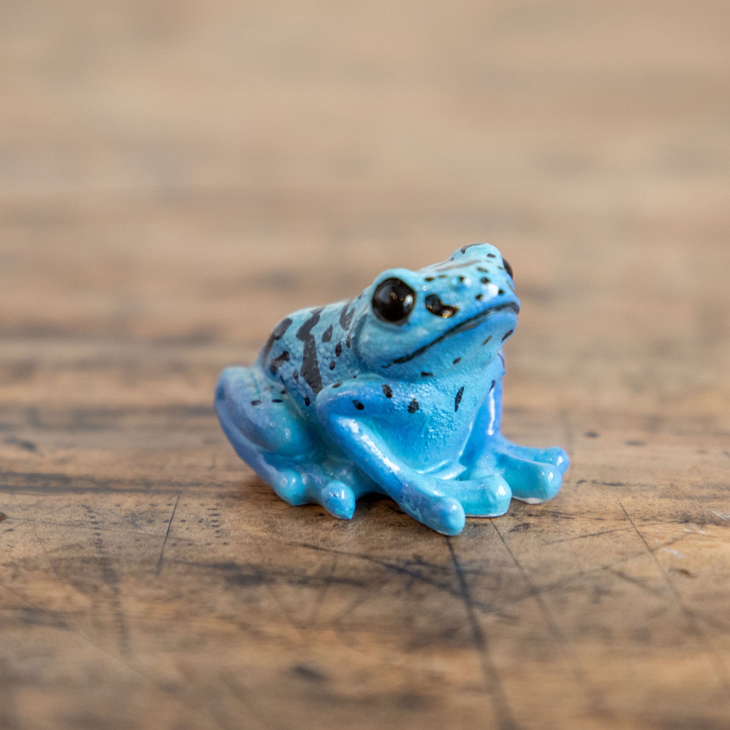 ヤドクガエル1　マグネット　ストラップ　ネイチャーテクニカラー　フルコンプ ヤドクガエル マグネット×ストラップ – ネイチャーテクニカラー公式