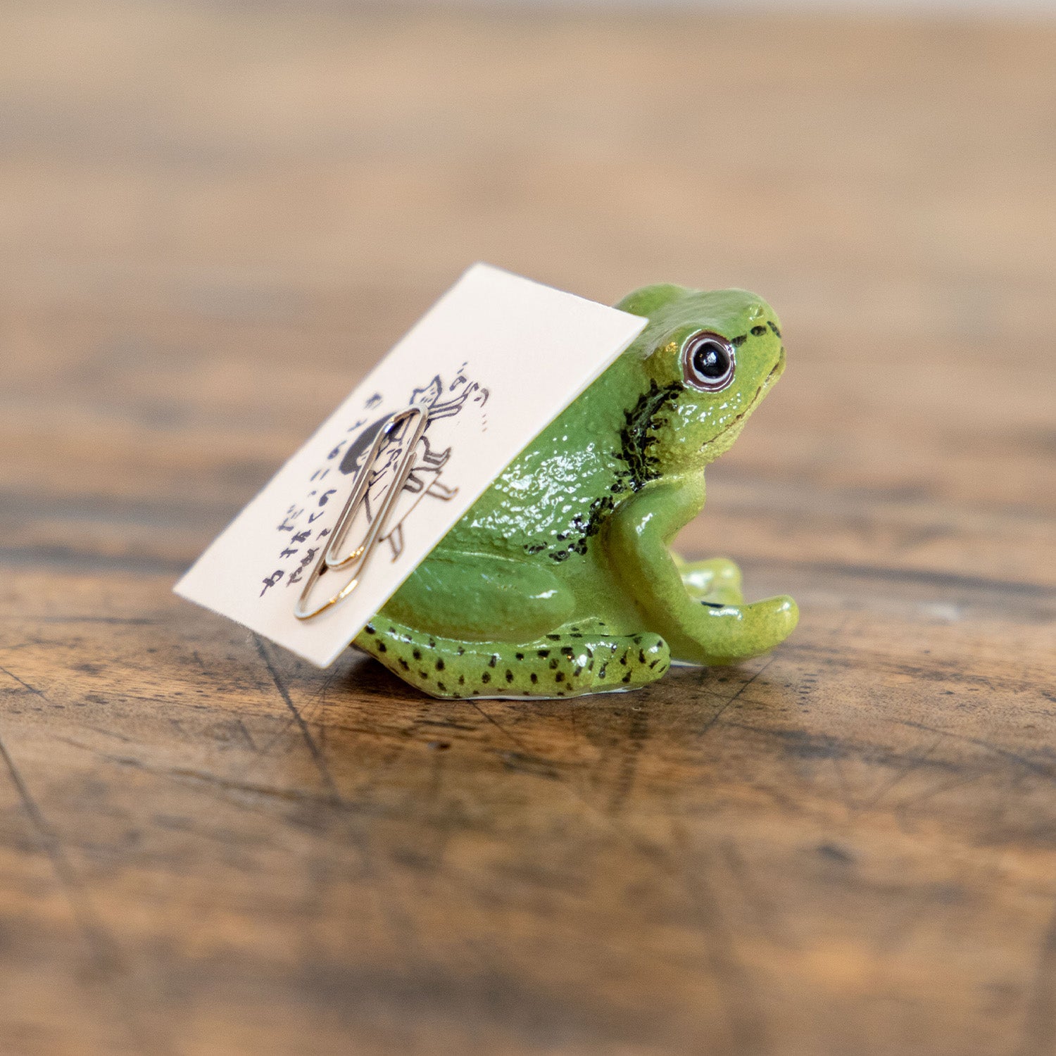 magnet / マグネット マグネット アマガエル（緑） – ニコノマニマニ