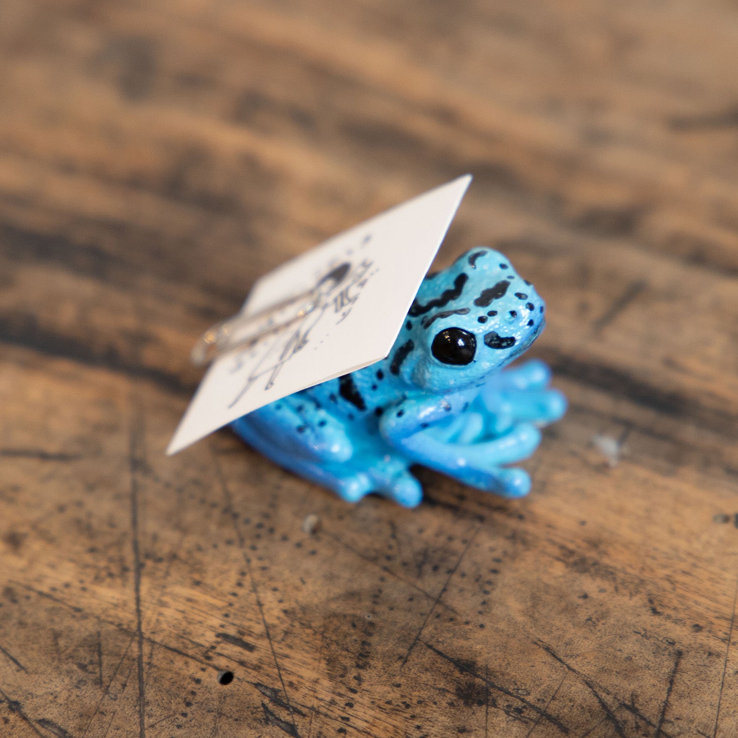 世界に一つしかないオリジナル　マグナット・置物 magnet / マグネット マグネット ヤドクガエル（青） – ニコノマニマニ