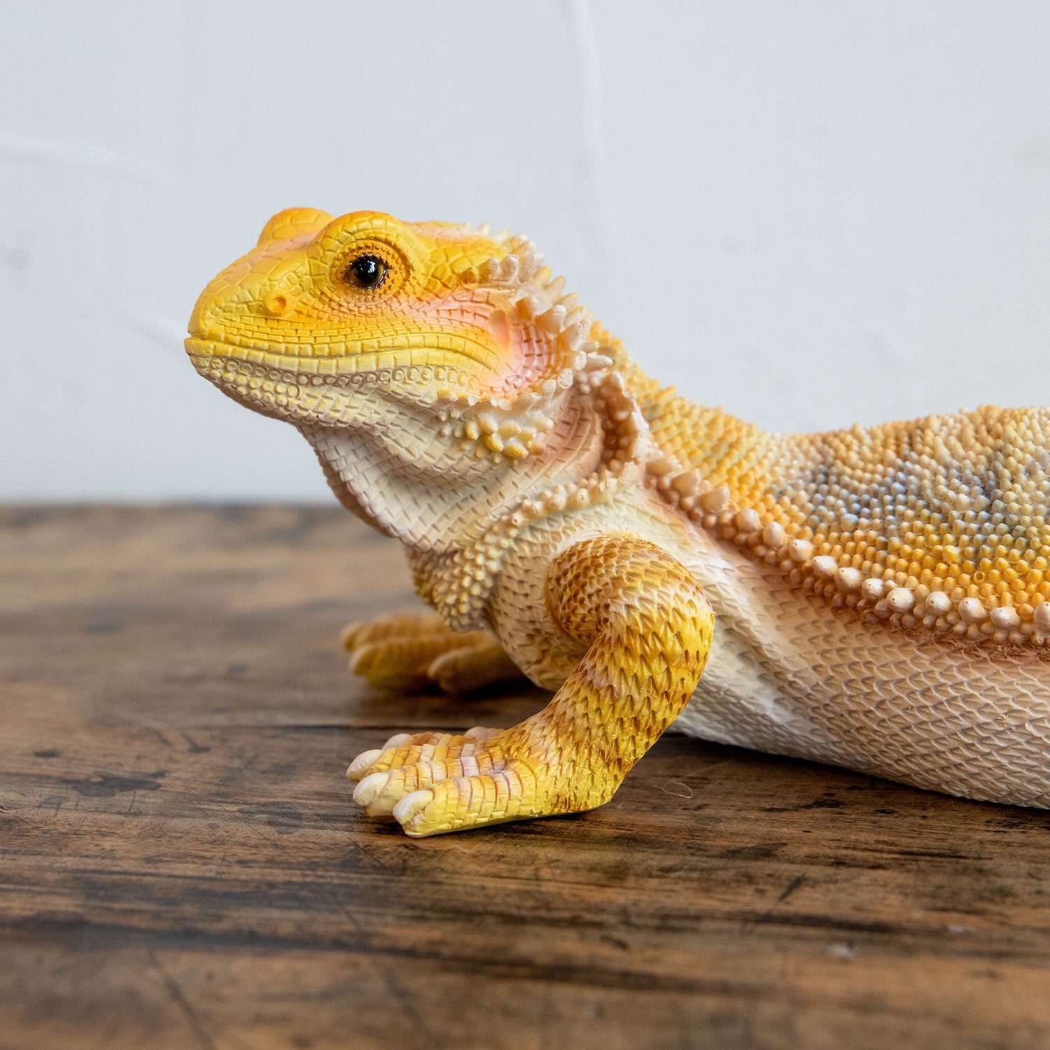 magnet / マグネット 貯金箱 フトアゴヒゲトカゲ – ニコノマニマニ雑貨