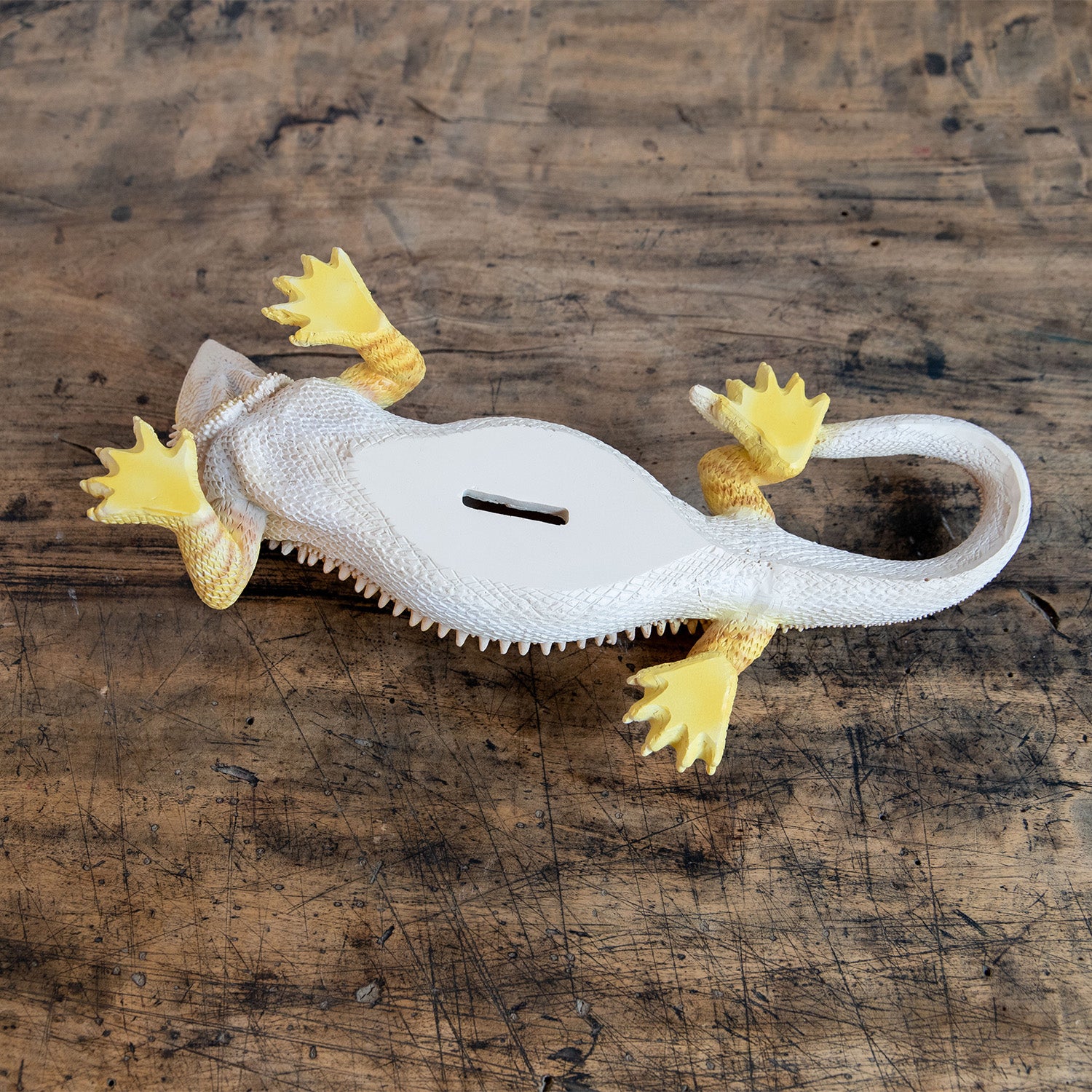 【金運アップ】白トカゲ（フレーム付） 金運アップ】白トカゲ（フレーム付） 金運アップ】白トカゲ（フレーム