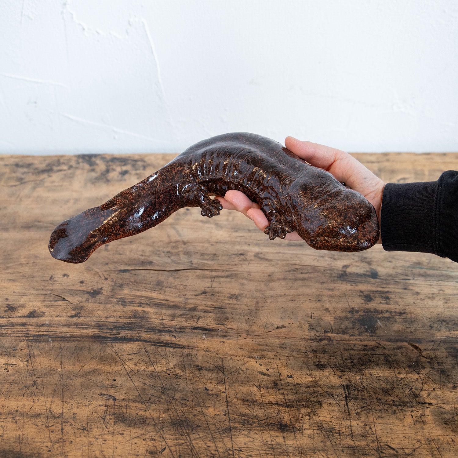 magnet / マグネット 貯金箱 オオサンショウウオ – ニコノマニマニ雑貨