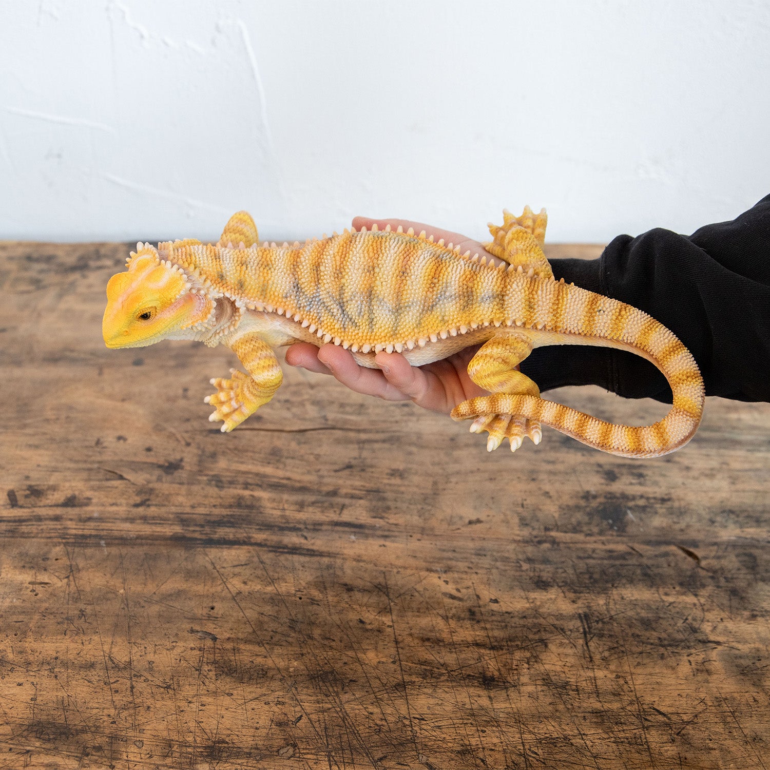 【金運アップ】白トカゲ（フレーム付） 金運アップ】白トカゲ（フレーム付） 金運アップ】白トカゲ（フレーム