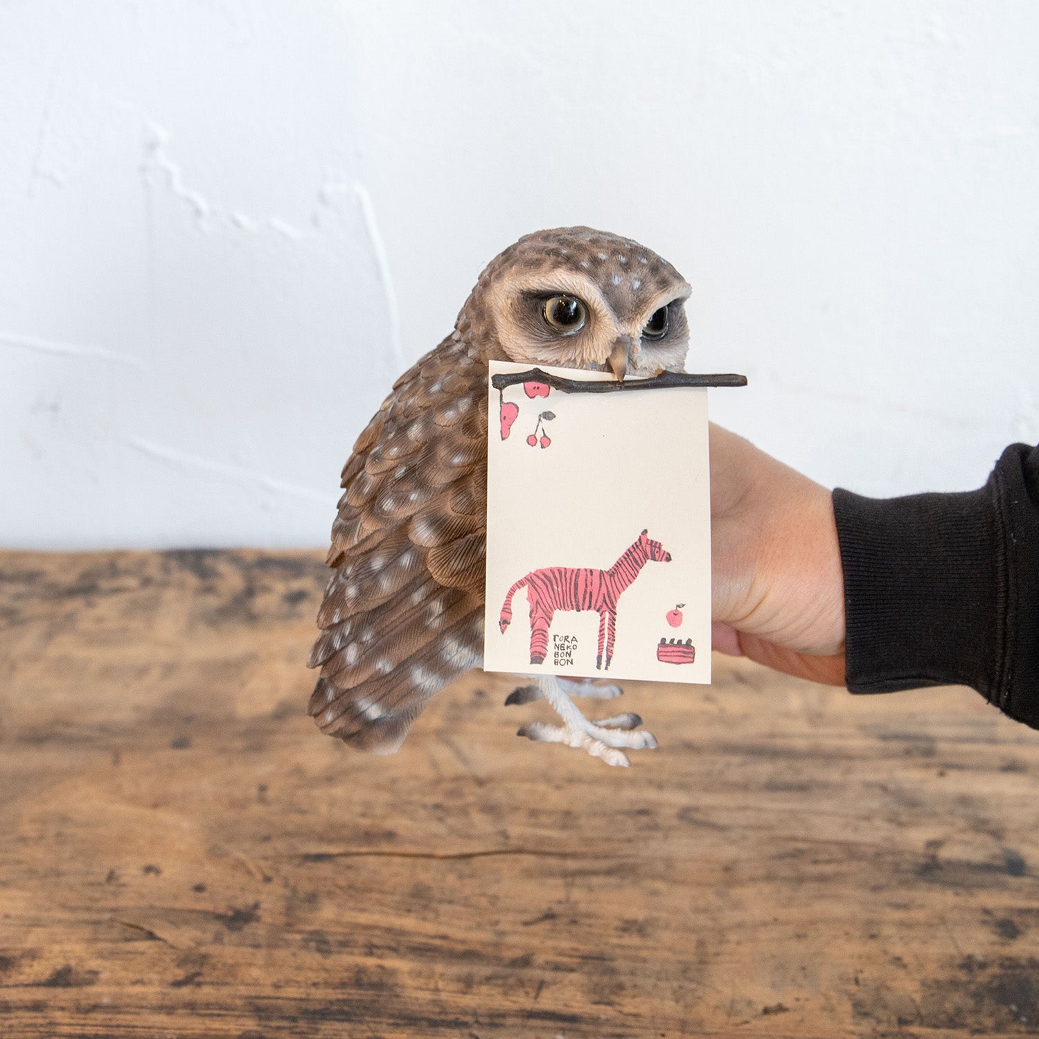 magnet / マグネット マグネット アナホリフクロウ – ニコノマニマニ