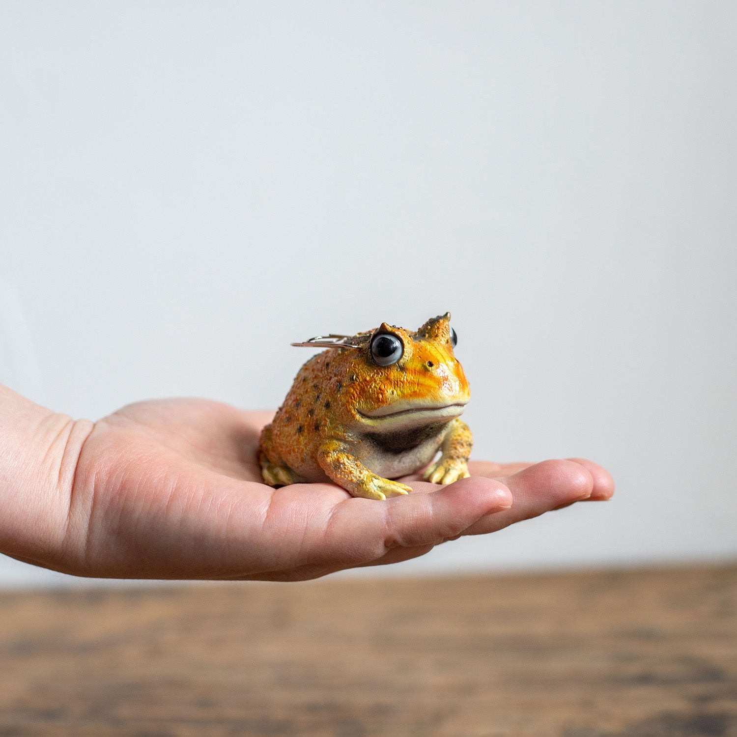 magnet / マグネット マグネット ツノガエル – ニコノマニマニ雑貨店