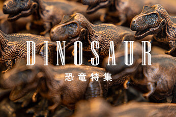DINOSAUR 恐竜特集