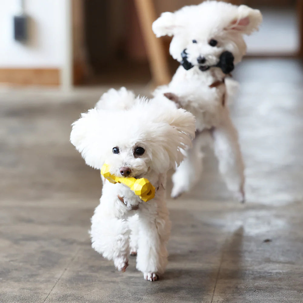 PETOY　BONE BONE BONE（ボーン ボーン ボーン）