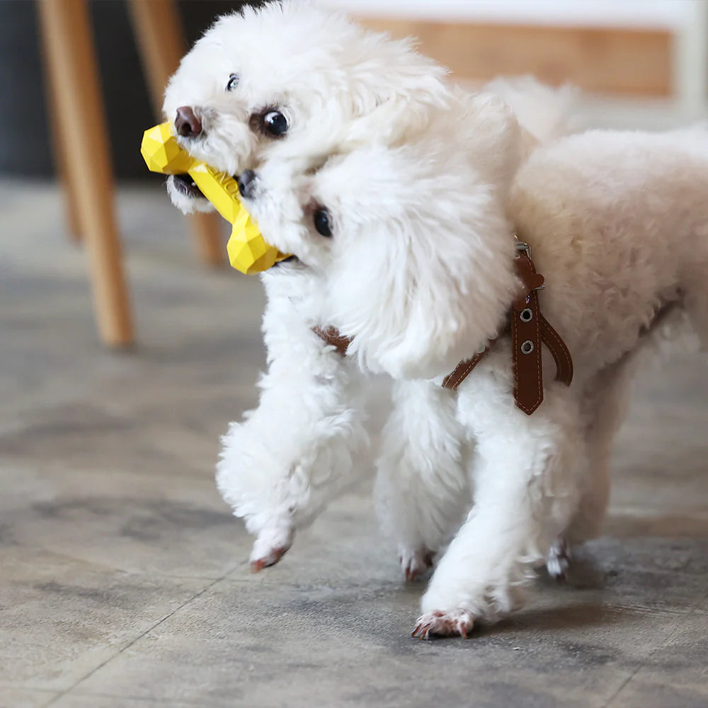 PETOY　BONE BONE BONE（ボーン ボーン ボーン）