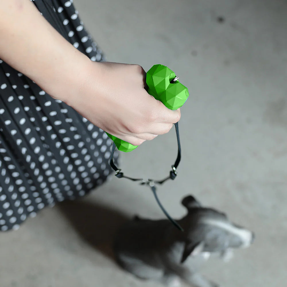 PETOY　BONE BONE BONE（ボーン ボーン ボーン）