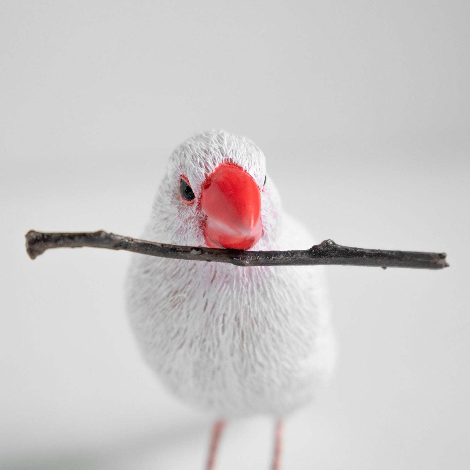 magnet / マグネット　マグネット 白文鳥