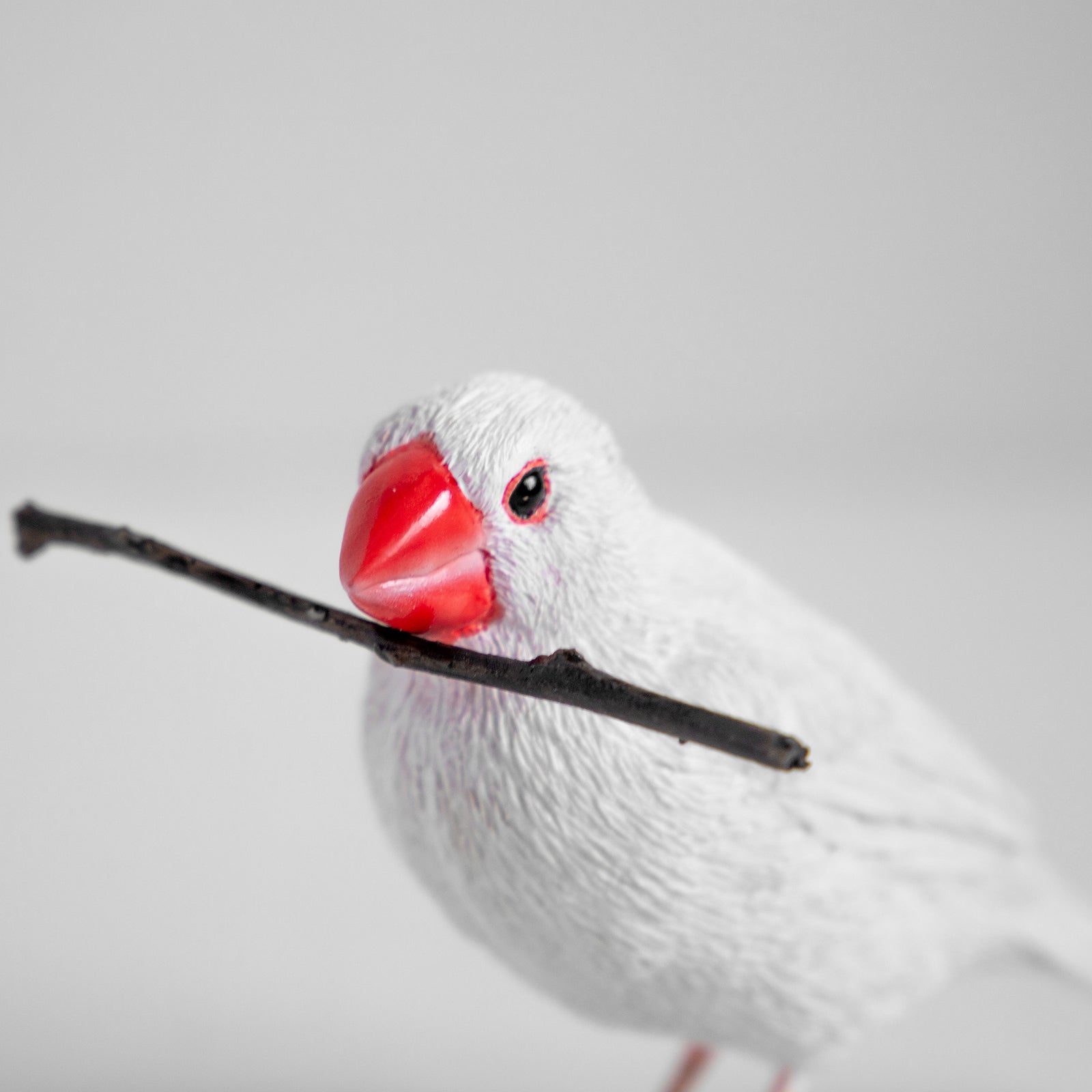 magnet / マグネット　マグネット 白文鳥