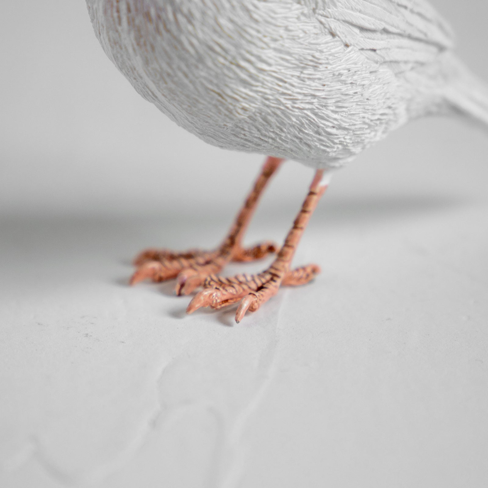 magnet / マグネット　マグネット 白文鳥