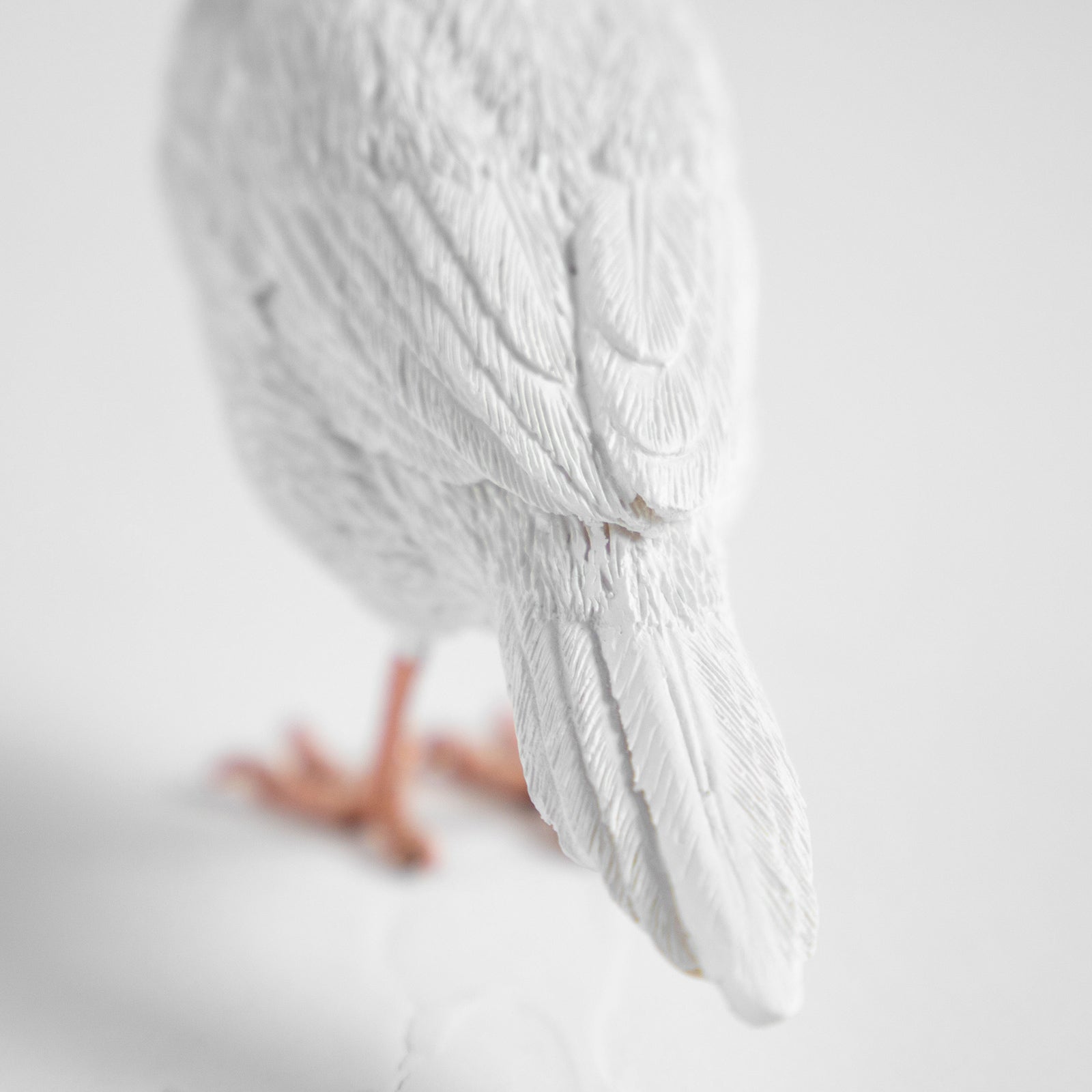 magnet / マグネット　マグネット 白文鳥