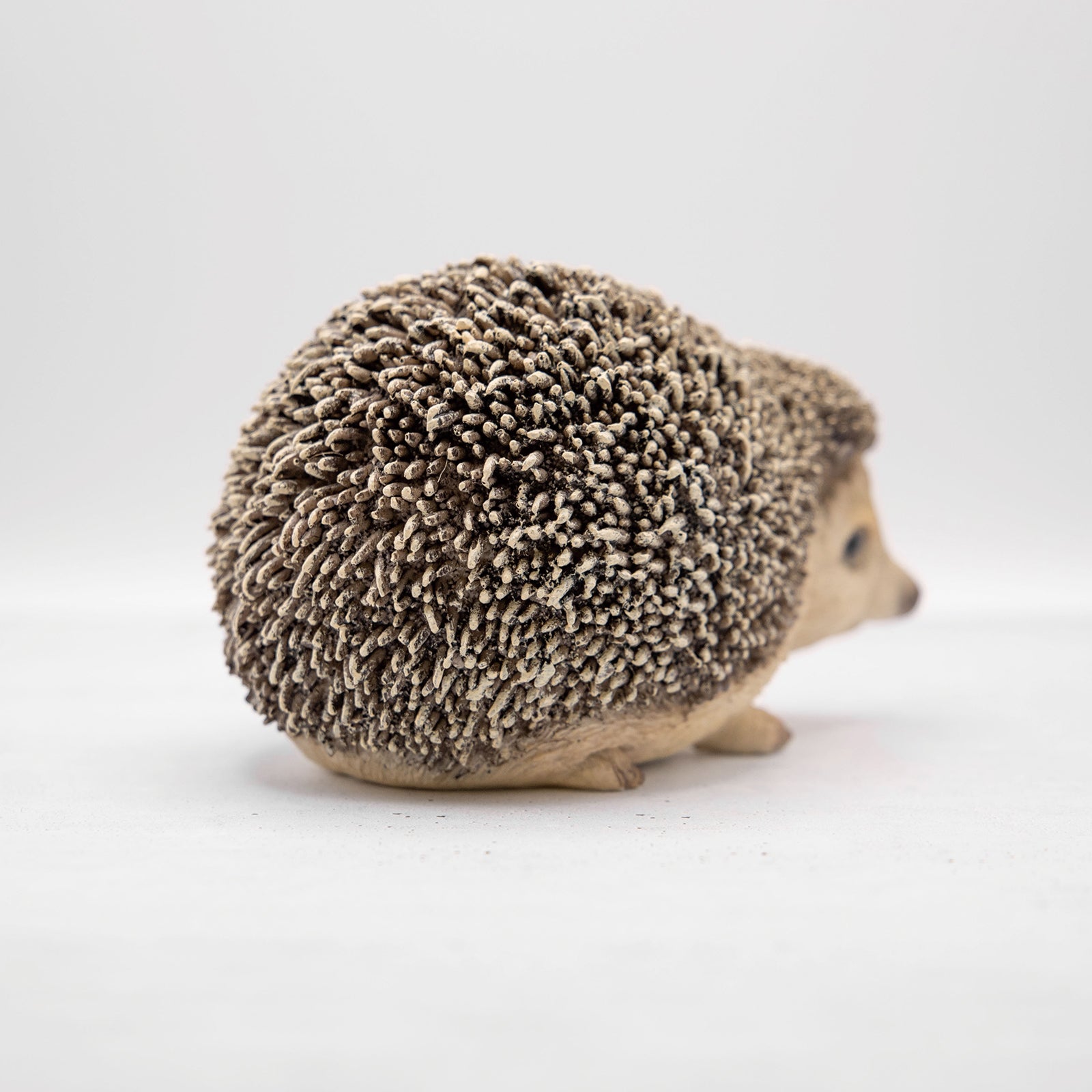 magnet / マグネット　貯金箱 ハリネズミ