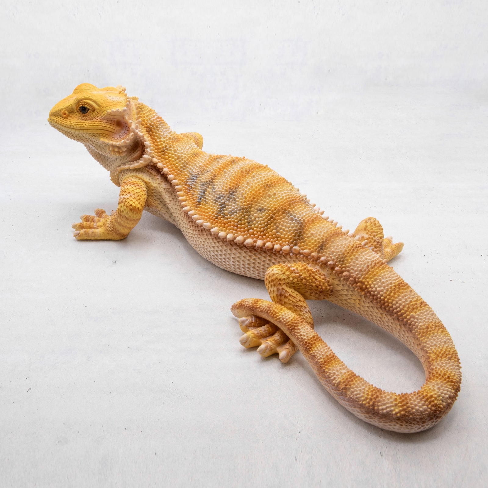 magnet / マグネット　貯金箱 フトアゴヒゲトカゲ