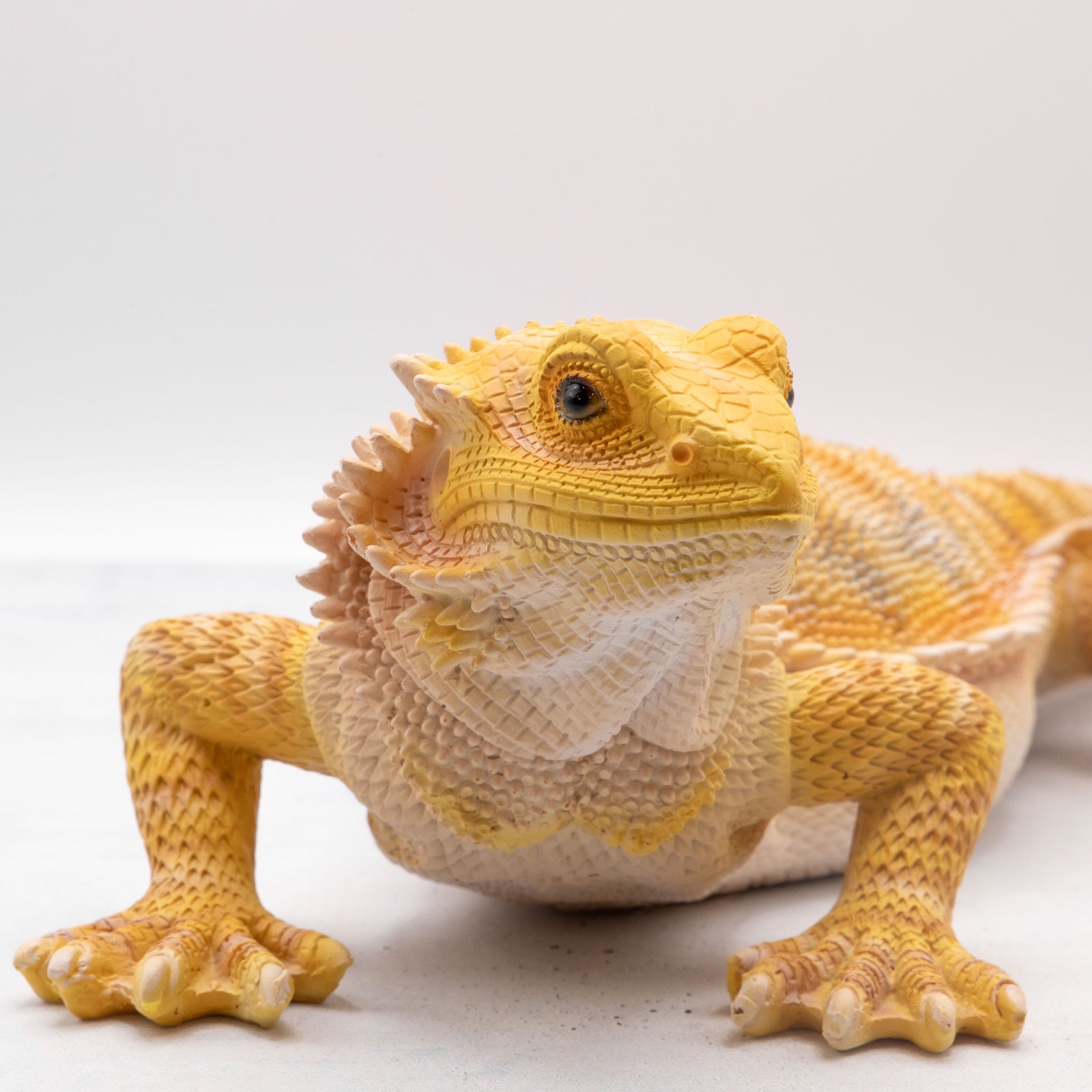 【金運アップ】白トカゲ（フレーム付） 金運アップ】白トカゲ（フレーム付） 金運アップ】白トカゲ（フレーム