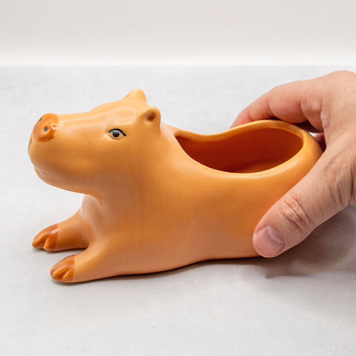 KIKKERLAND / キッカーランド　 カピバラ　プランター　L