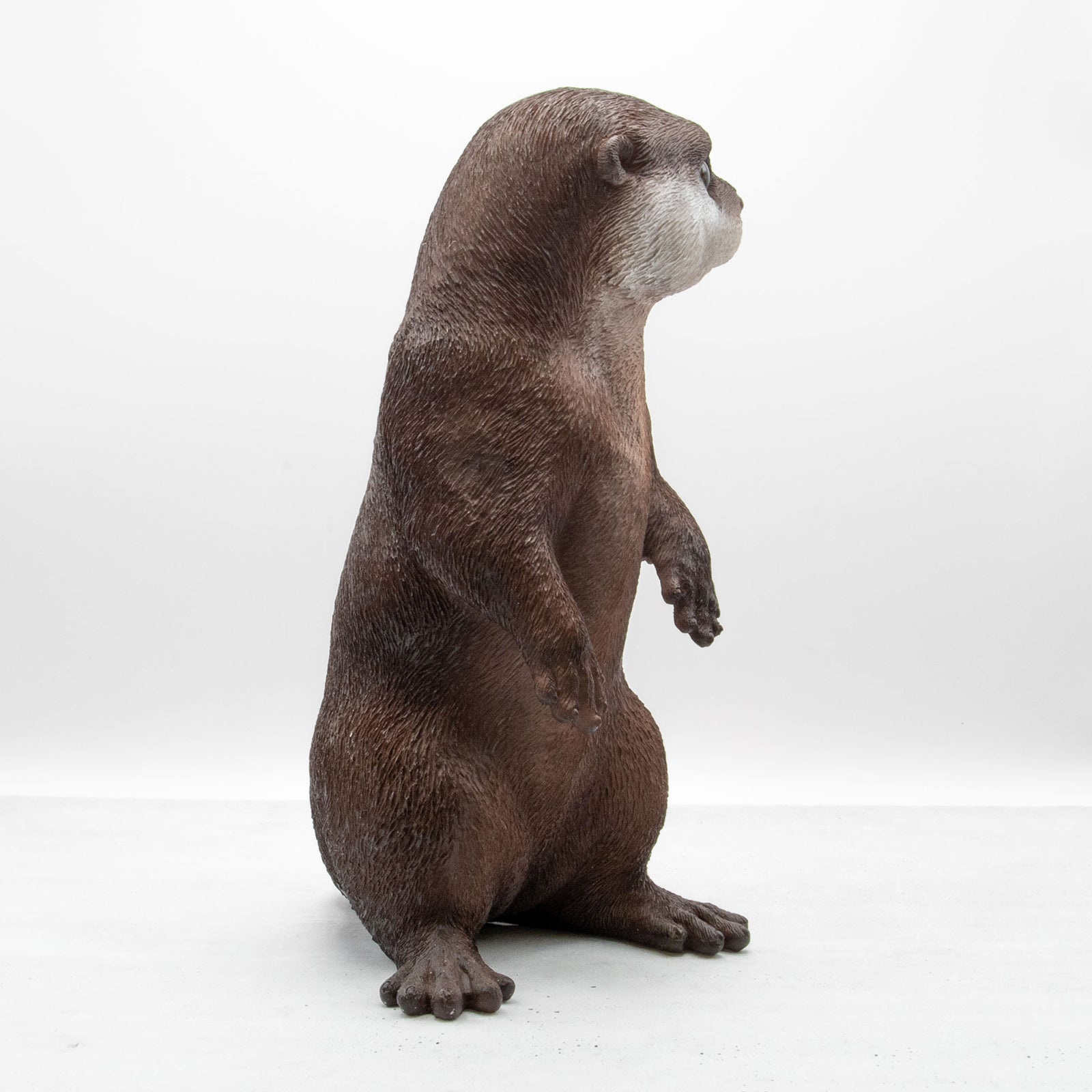 magnet / マグネット　貯金箱 カワウソ