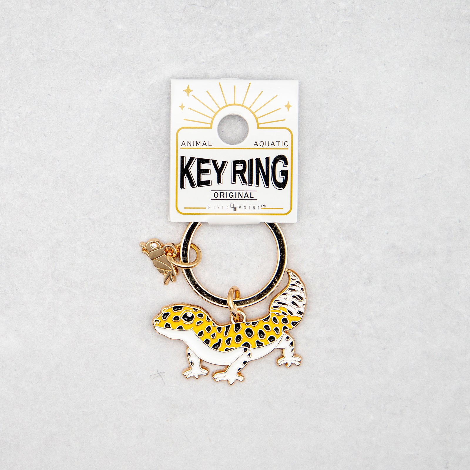 爬虫類・両生類・淡水魚