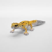 magnet / マグネット　マグネット レオパードゲッコー（HIGH YELLOW）