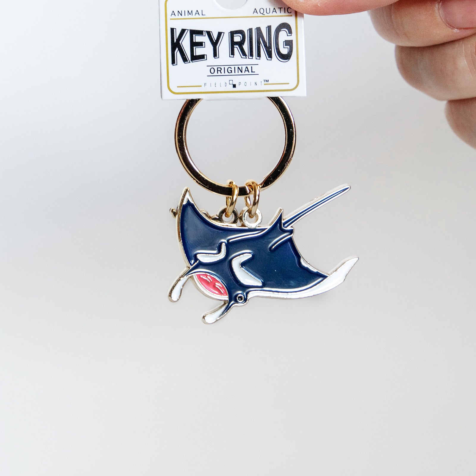 キーホルダー　アクアチックキーリング マンタ