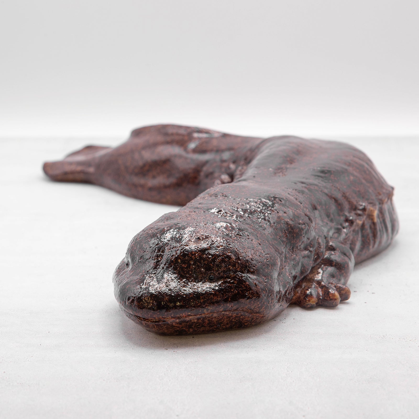 magnet / マグネット　貯金箱　オオサンショウウオ